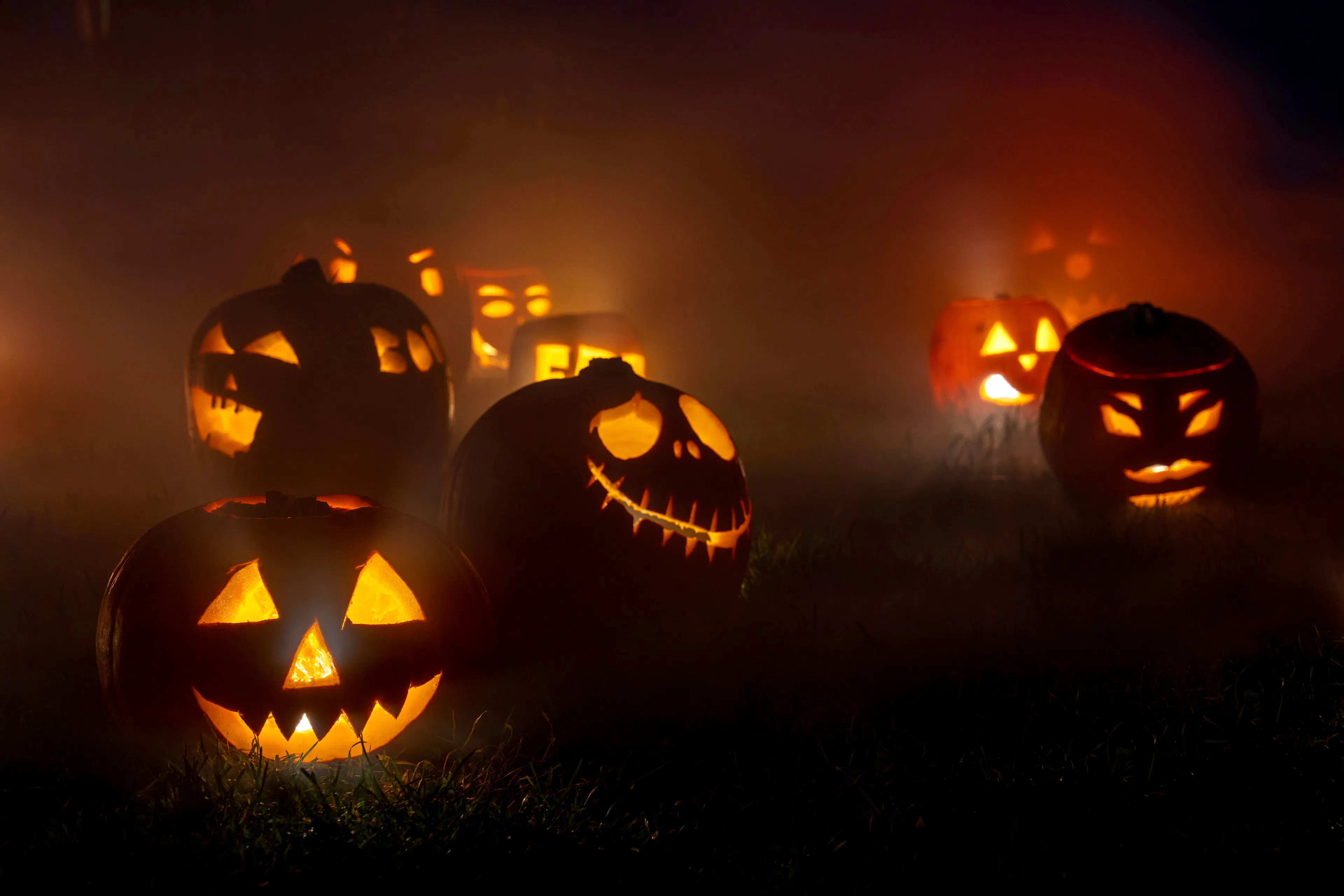 Carved jack-o'-lanterns glowing in thick fog on grass at dusk