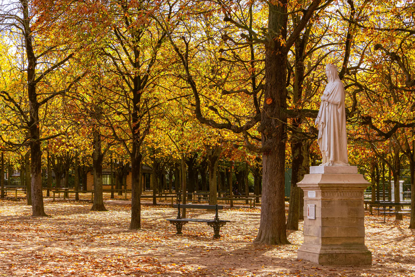 Golden chestnut trees, fallen leaves and a white statue in the Jardin du Luxembourg, Paris, in autumn