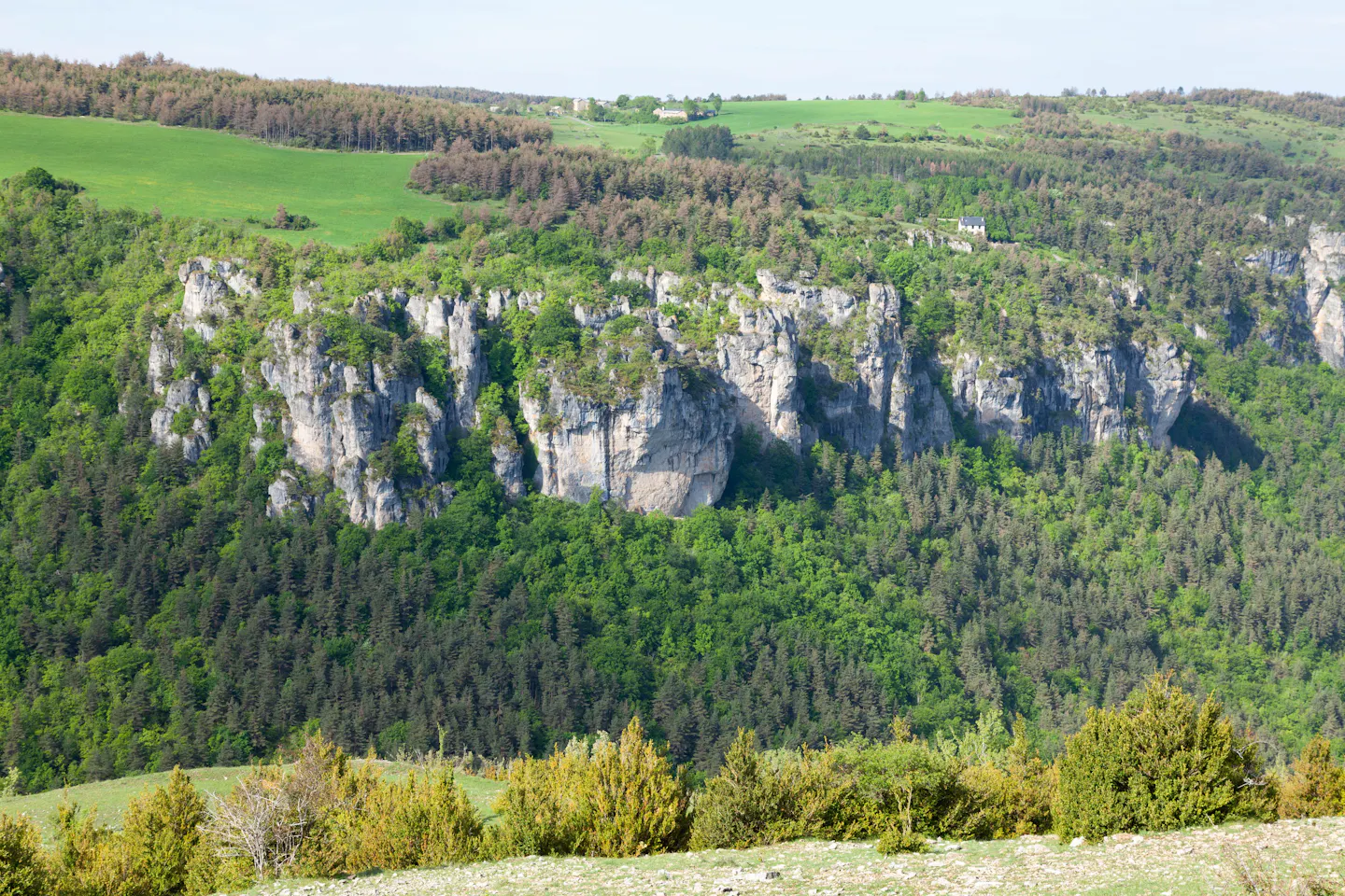 Pale limestone cliffs breaking through dense green forest below open pasture in the Cévennes uplands of southern France