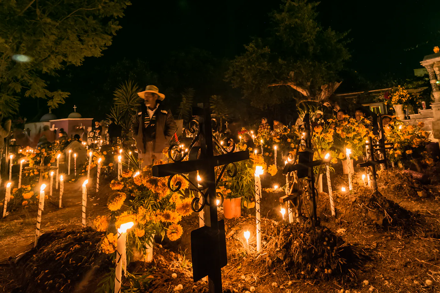 Candles and marigolds covering graves during a Day of the Dead vigil in a Oaxaca cemetery