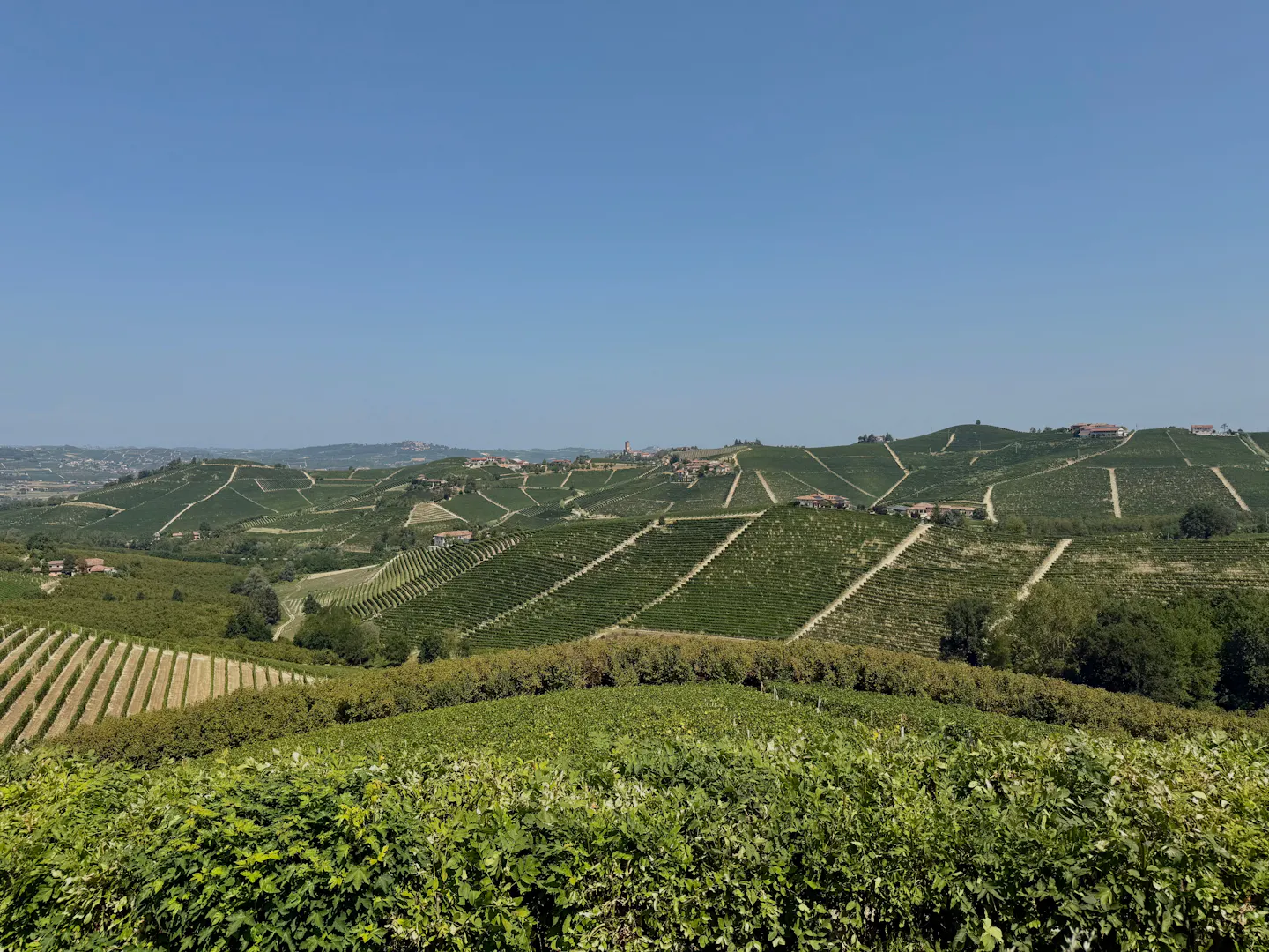 Patterned vineyards covering the rolling Langhe hills of Piedmont, dotted with farmhouses and hilltop villages