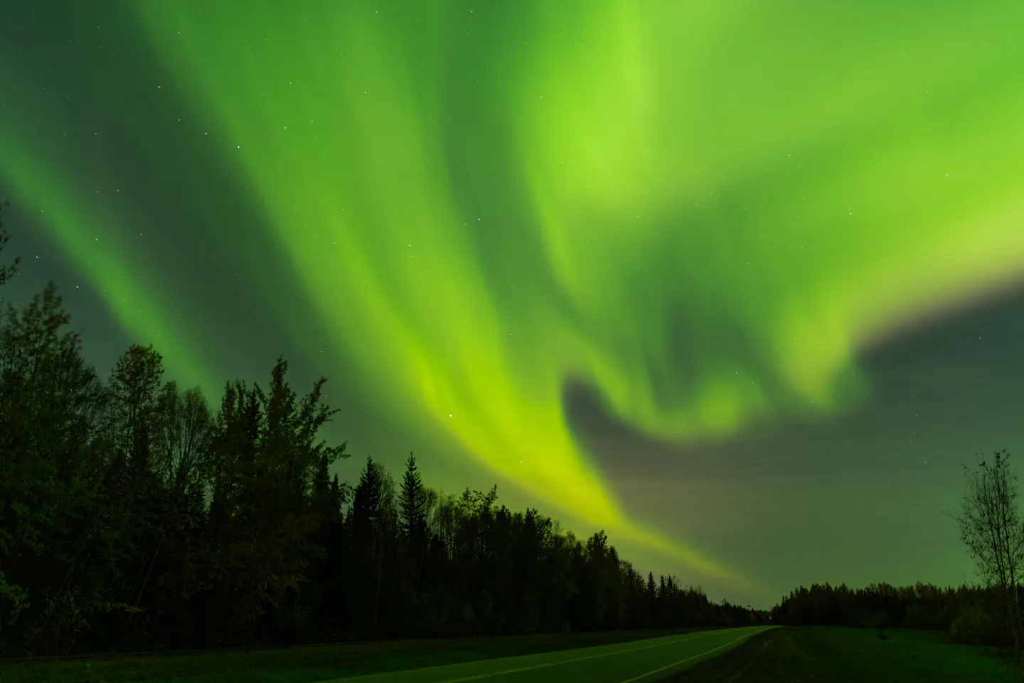 A vivid green and yellow aurora sweeping over an empty forest road in Alaska on an autumn night