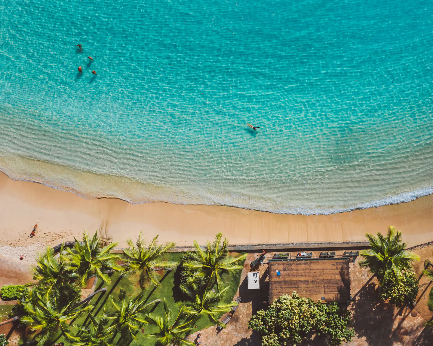 Turquoise shallows meeting a sandy beach fringed with coconut palms, seen from above