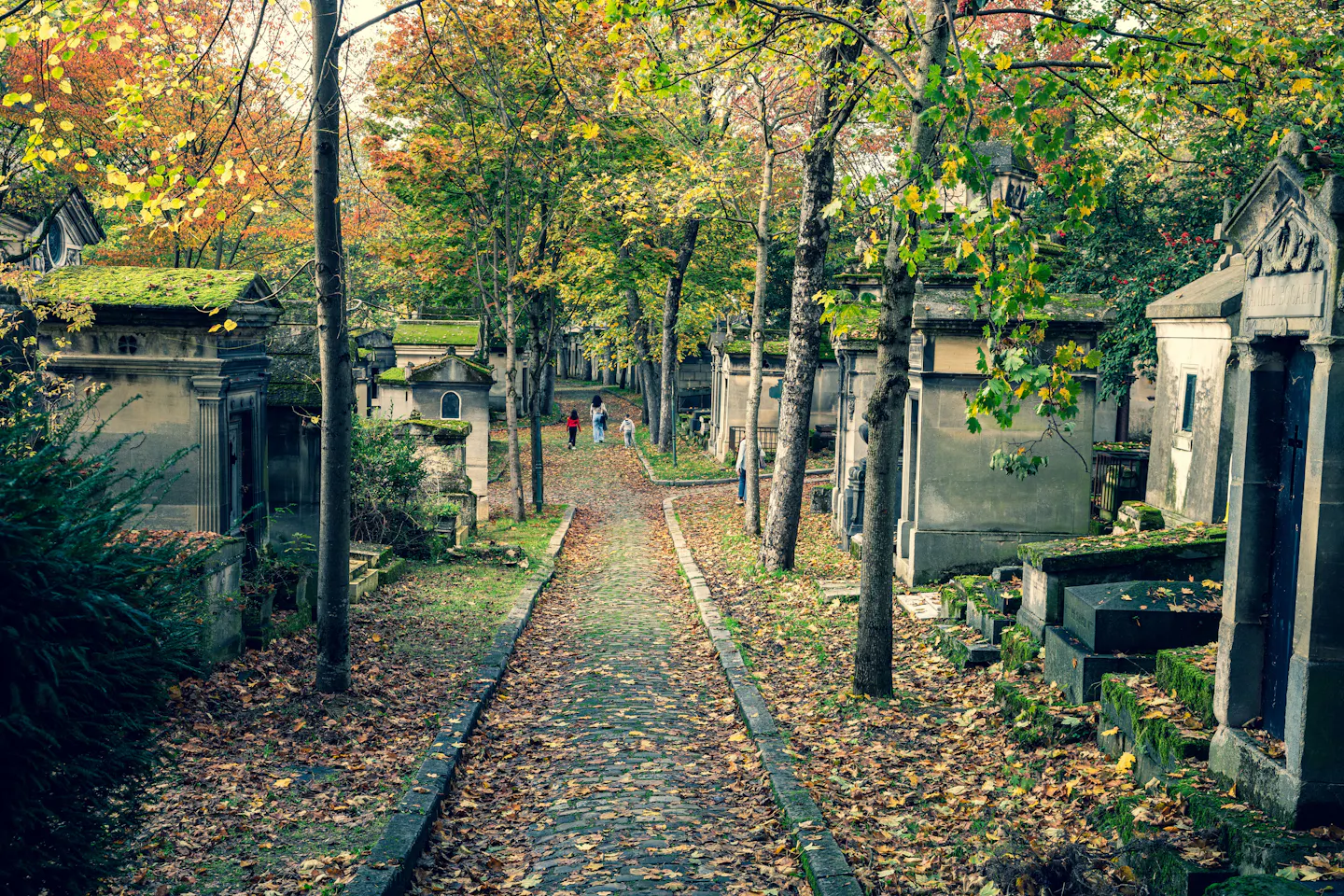 A cobbled path between mossy tombs and autumn trees in Pere Lachaise Cemetery