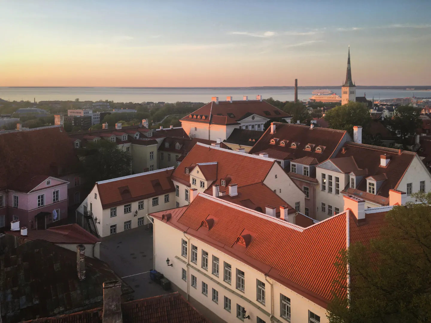 Red-tiled roofs of Tallinn's old town falling towards the Baltic in evening light
