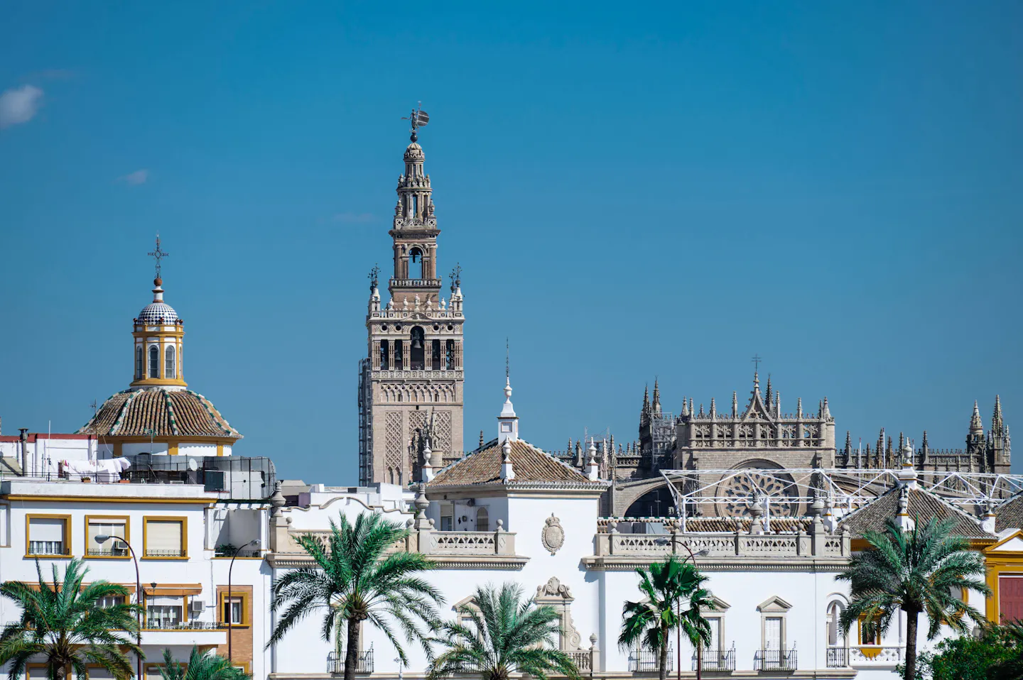 The Giralda tower and Seville Cathedral rising above white buildings and palm trees