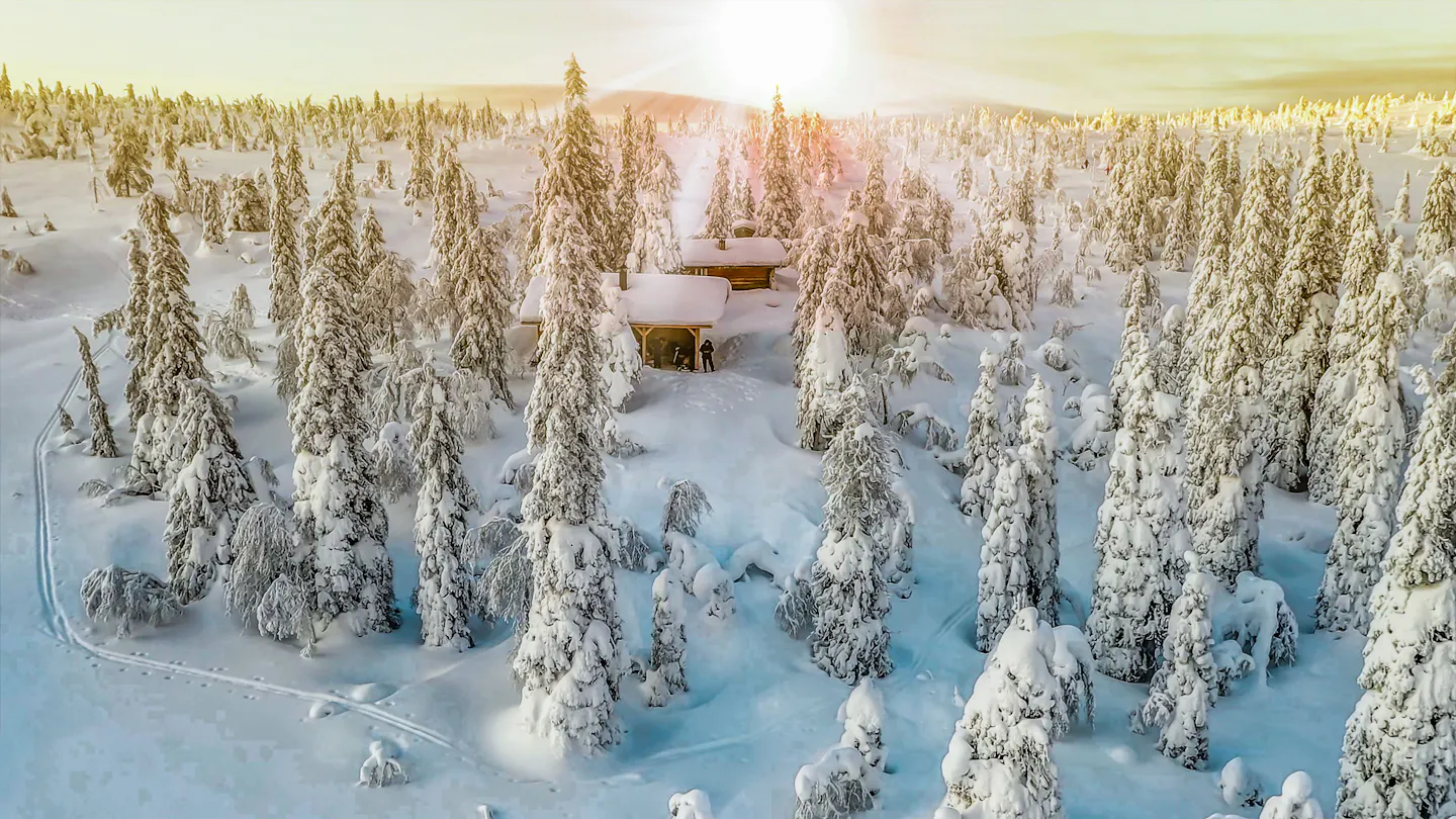 Snow-covered taiga forest and cabins near Rovaniemi, Finnish Lapland, in low winter sunlight