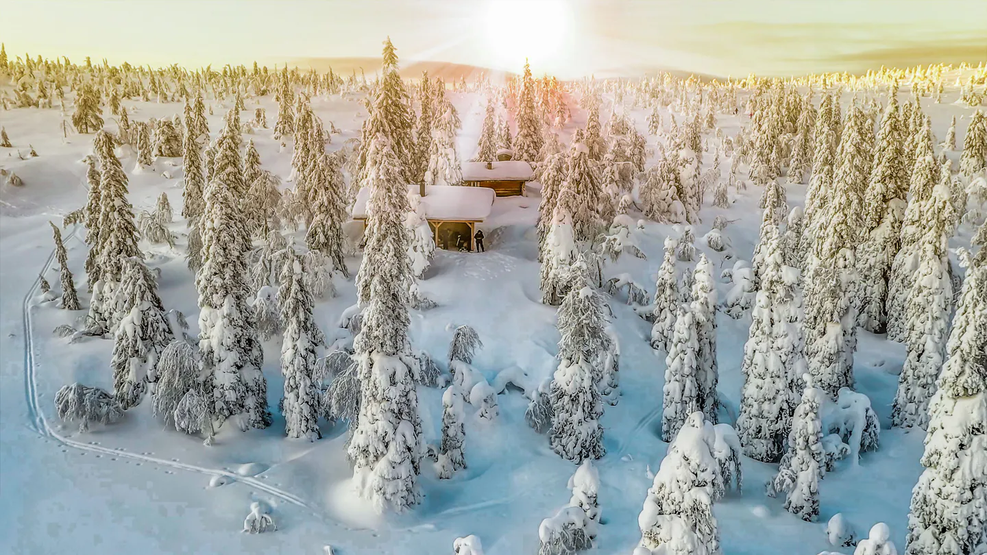 Snow-covered taiga forest and cabins near Rovaniemi, Finnish Lapland, in low winter sunlight