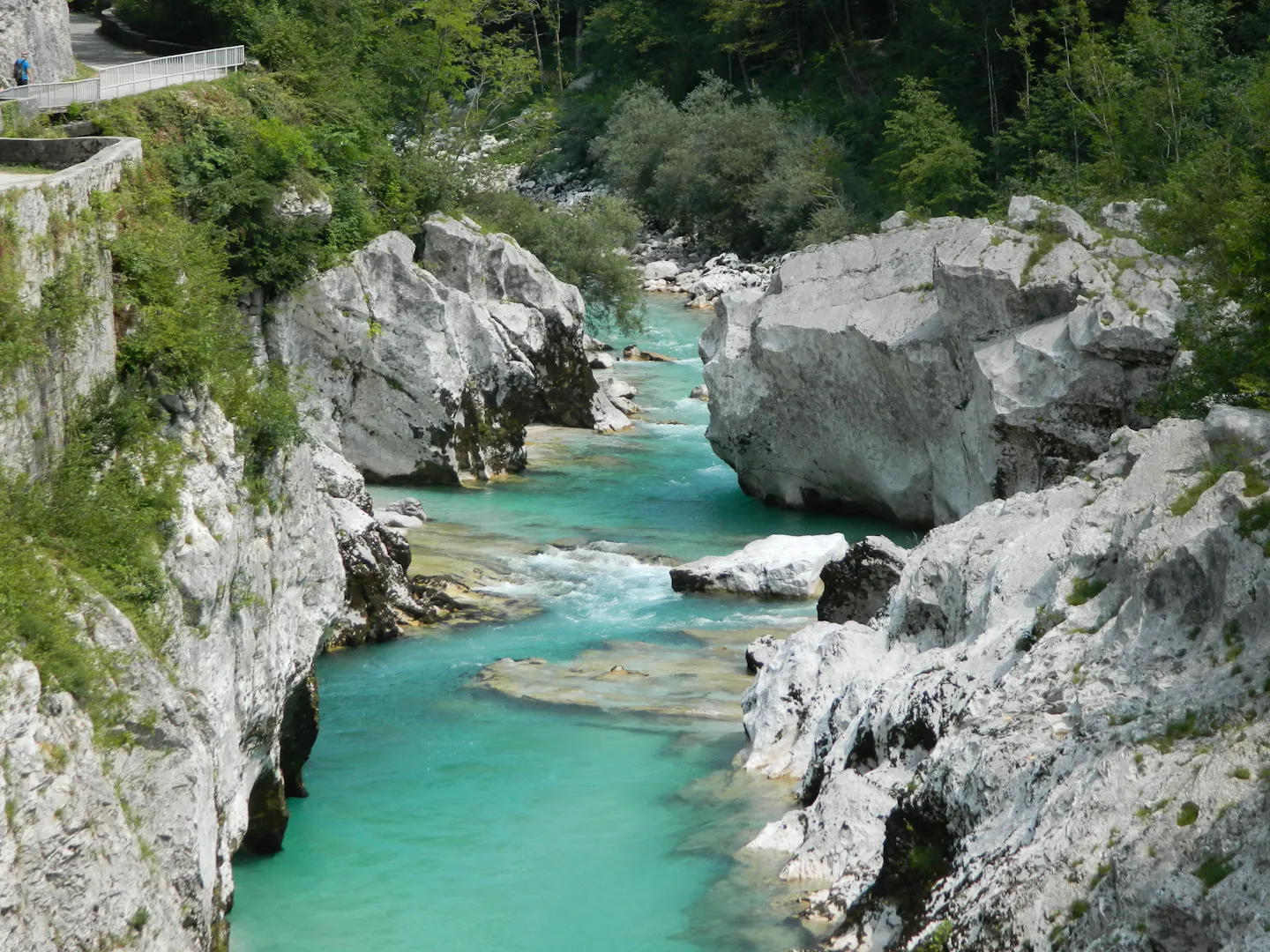 The turquoise Soča River running between white limestone boulders and summer-green woodland in Slovenia
