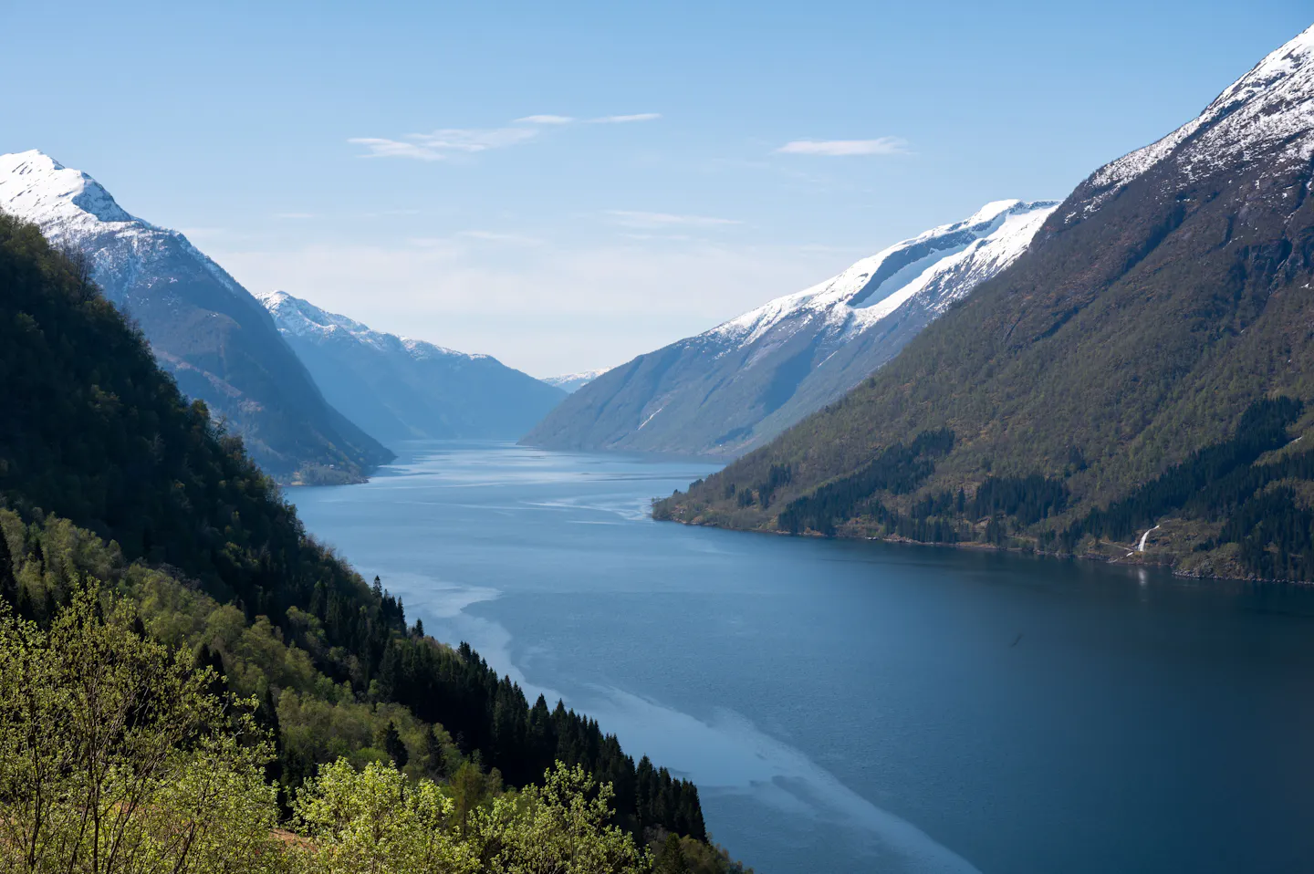 A deep blue Norwegian fjord running between forested slopes towards snow-capped peaks under a clear sky