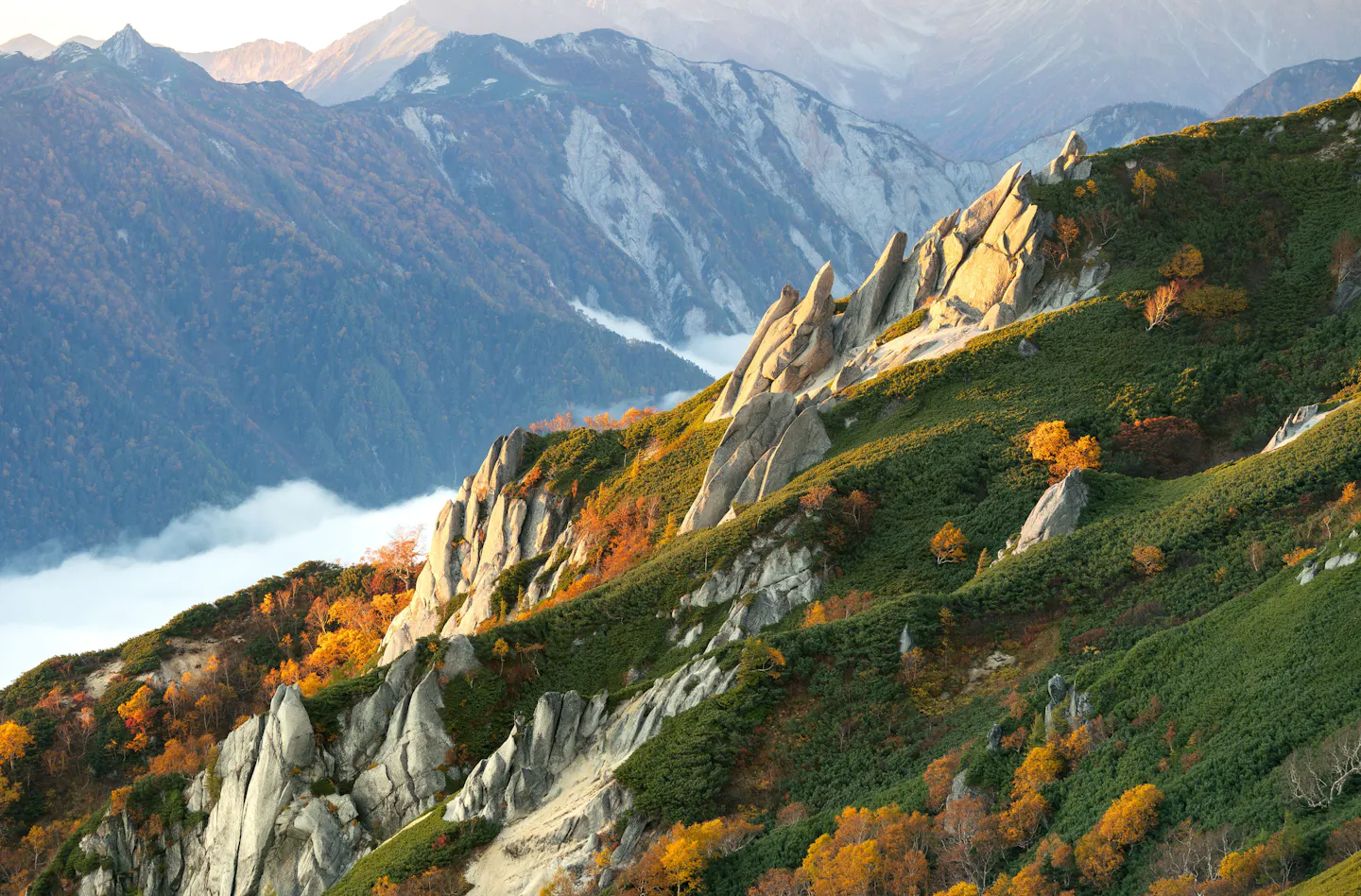 Granite spires and autumn colours on a ridge in the Japanese Alps above a sea of cloud