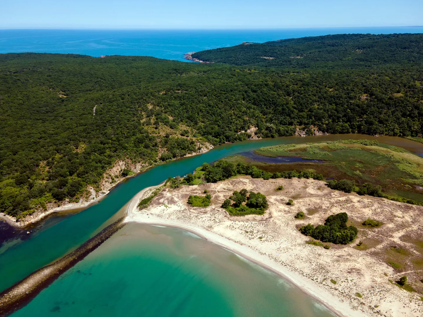 Forested Black Sea coastline where a river meets the sea in southern Bulgaria