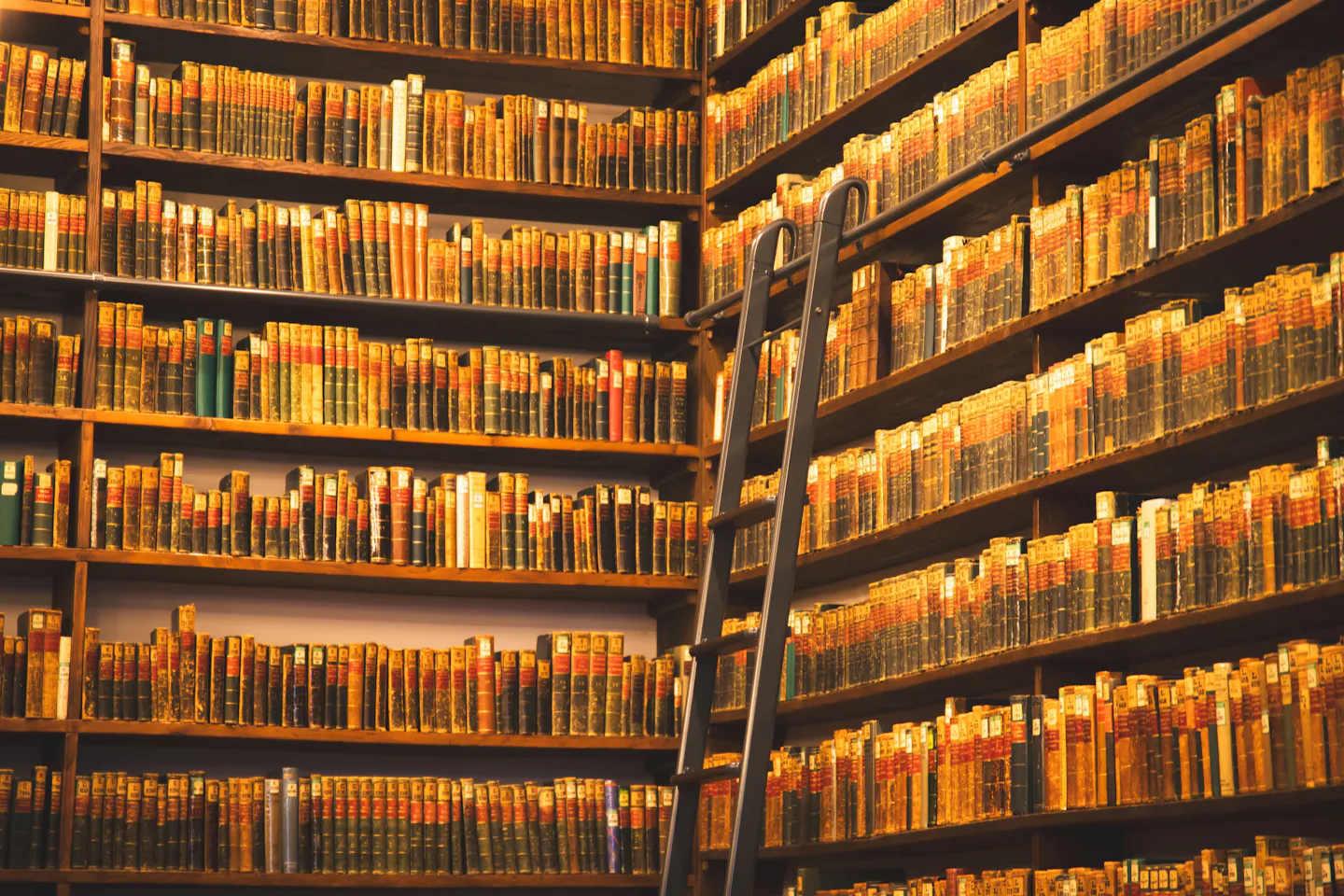 A corner of an old library filled floor to ceiling with worn leather-bound books on wooden shelves, a black iron sliding ladder leaning against them in warm golden light