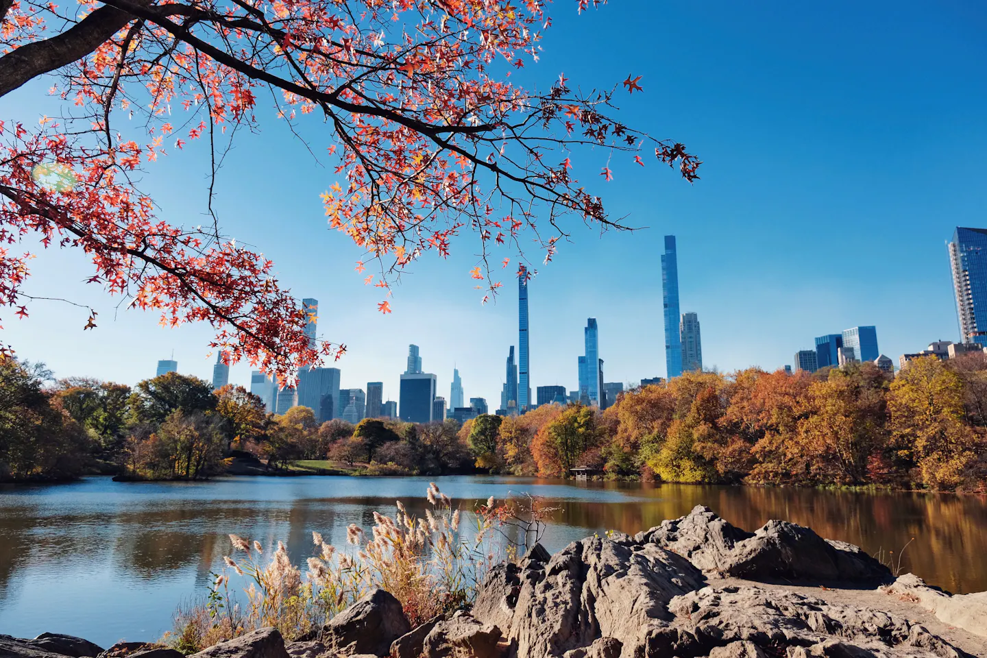 The Manhattan skyline framed by red autumn leaves across a lake in Central Park