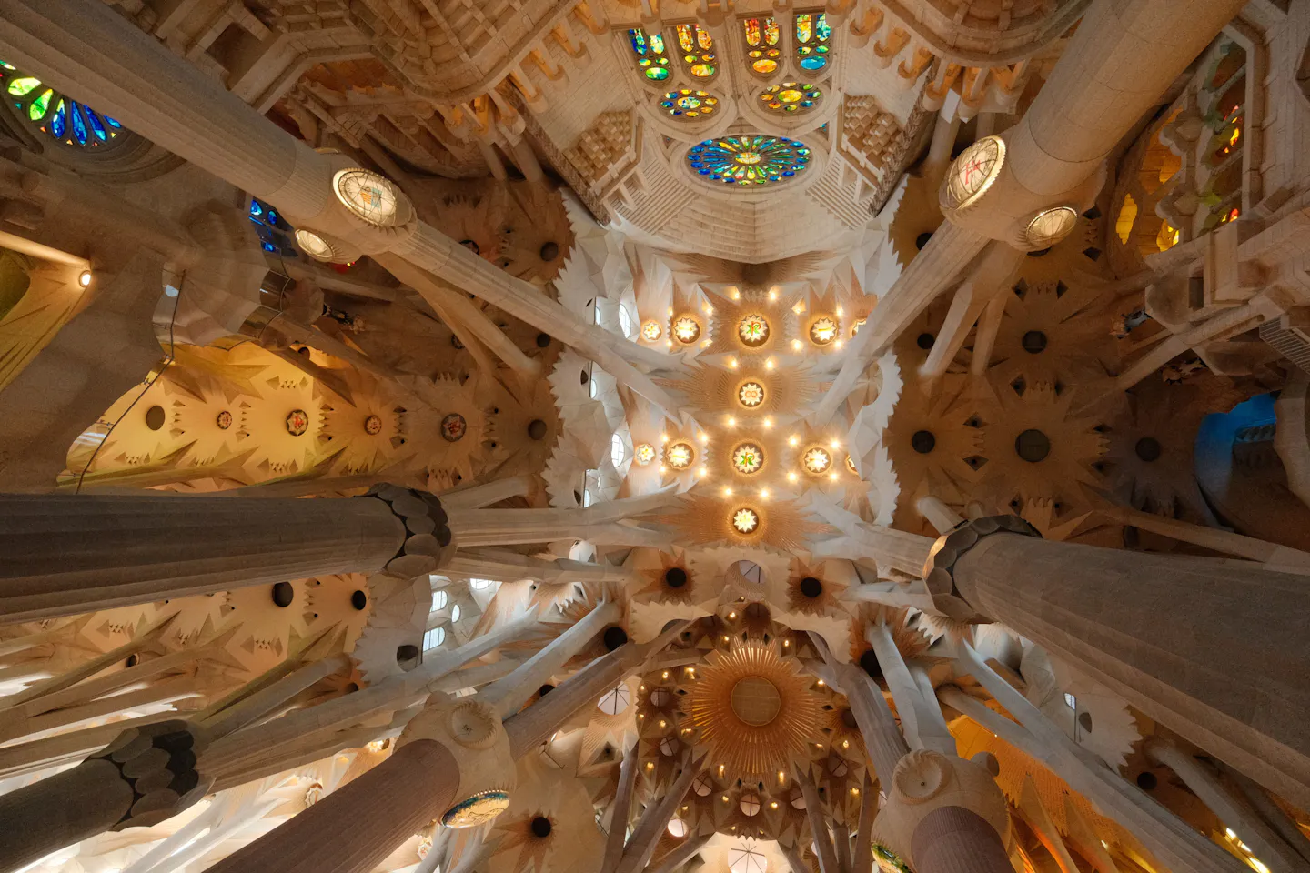 Looking up inside the Sagrada Familia at the branching stone columns and the coloured stained glass of the vault