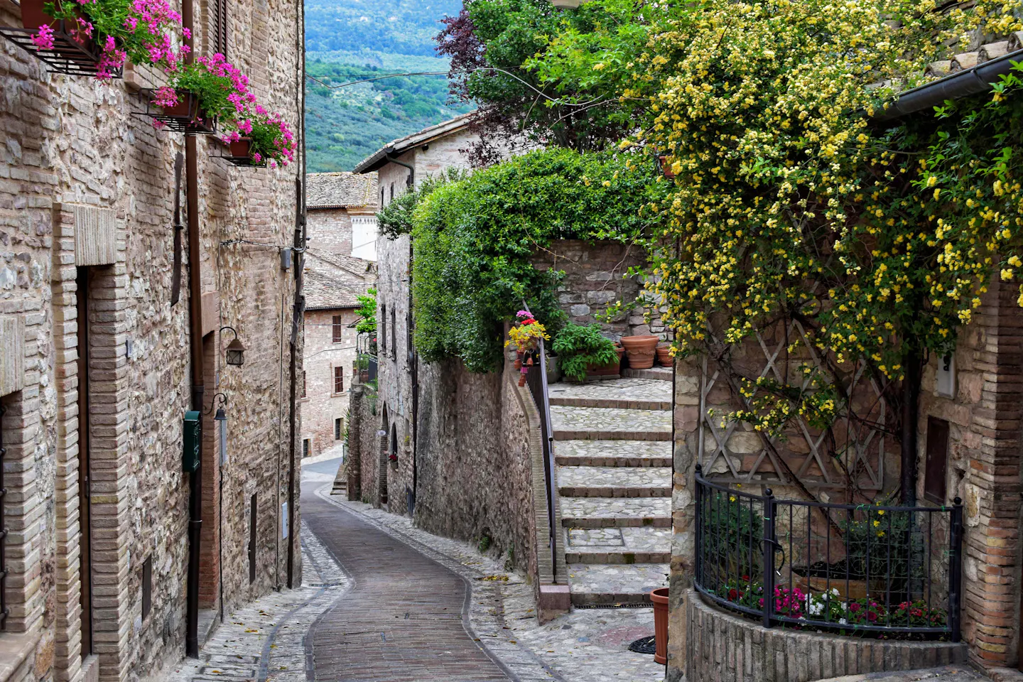 A narrow flower-filled stone lane winding through a historic Italian hill town with green hills beyond