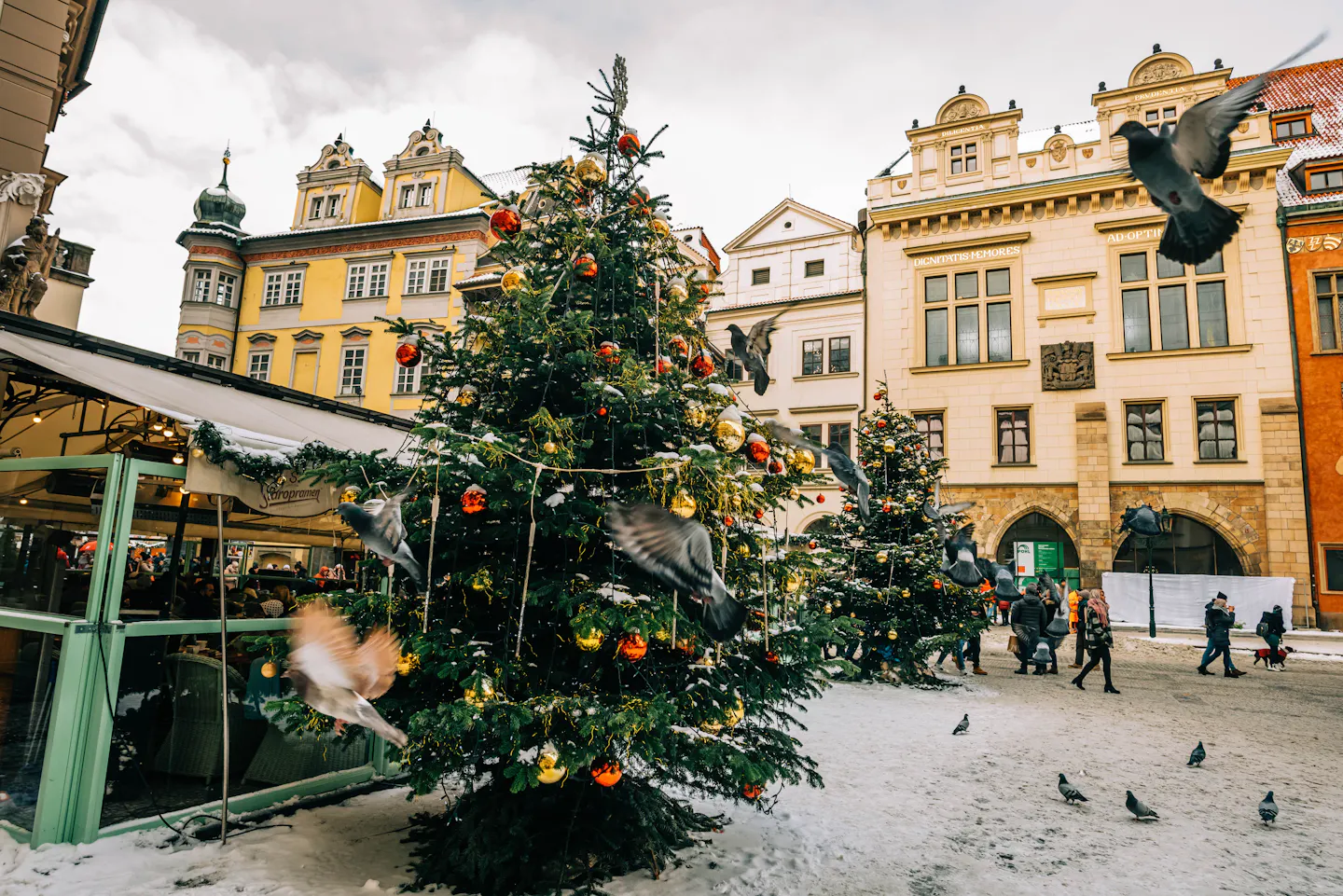 A decorated Christmas tree in snow-covered Old Town Square in Prague with baroque facades behind