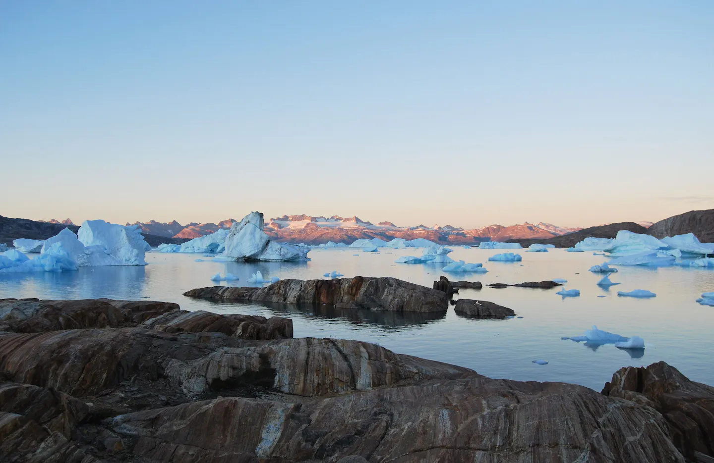 Icebergs drifting in calm water at dawn in Greenland, with pink light catching the mountains behind
