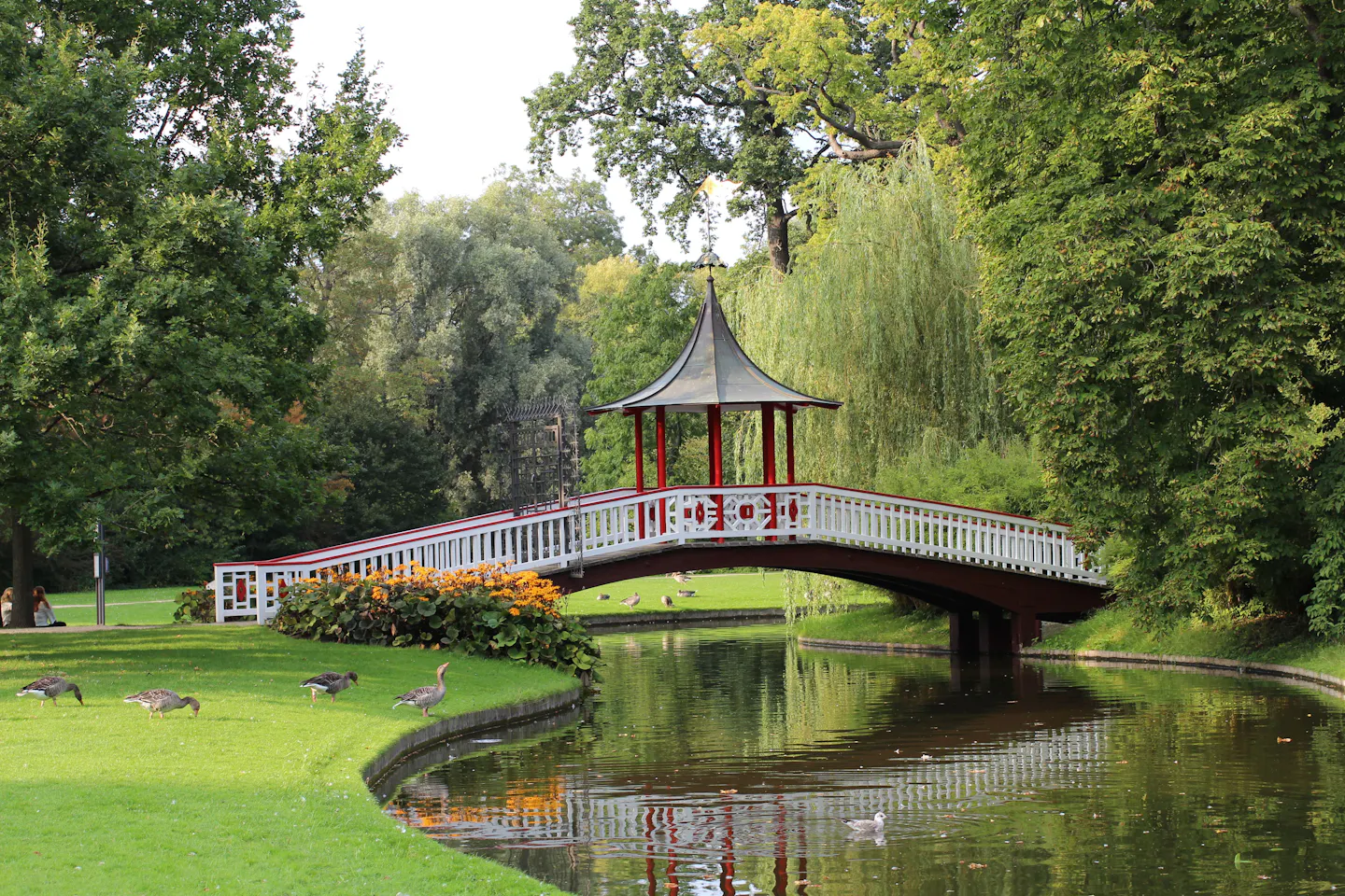 The red and white Chinese pavilion bridge arching over a canal in Frederiksberg Have, Copenhagen, with geese on the mown lawn, flowering beds and dense summer trees reflected in the water