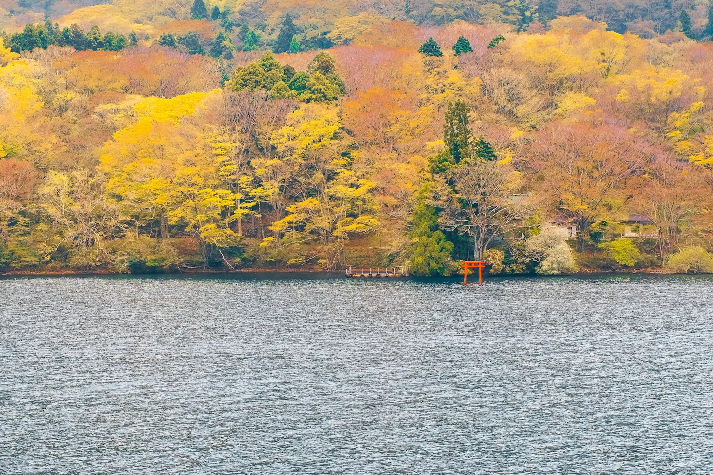 A red torii gate at the edge of Lake Ashi below a hillside of yellow and orange autumn trees