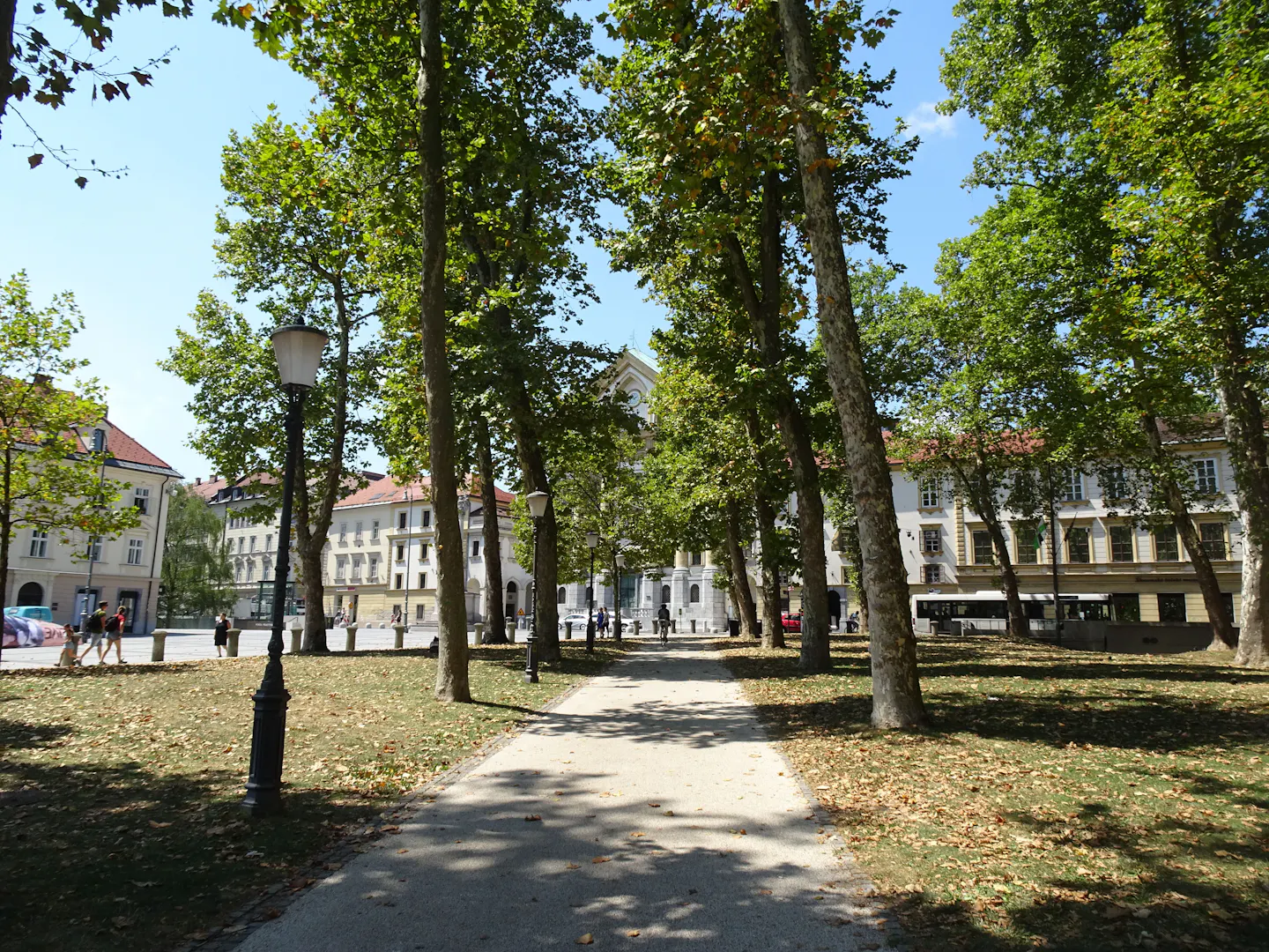 A gravel path curving through an avenue of tall plane trees in a central Ljubljana park, dappled sun on the grass, pale historic buildings and a church tower behind