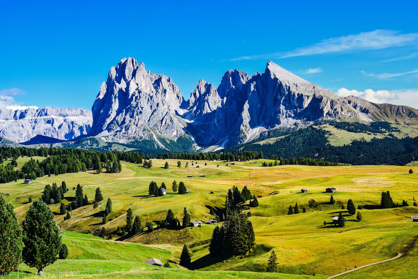 A wide alpine meadow rolling towards jagged Dolomite peaks under a clear blue sky