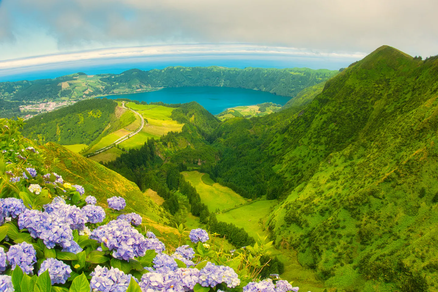 Blue hydrangeas in the foreground of a green crater rim looking down on the Sete Cidades lakes on São Miguel in the Azores