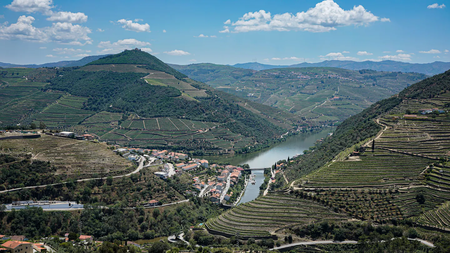 Terraced vineyards stepping down to the Douro river in northern Portugal