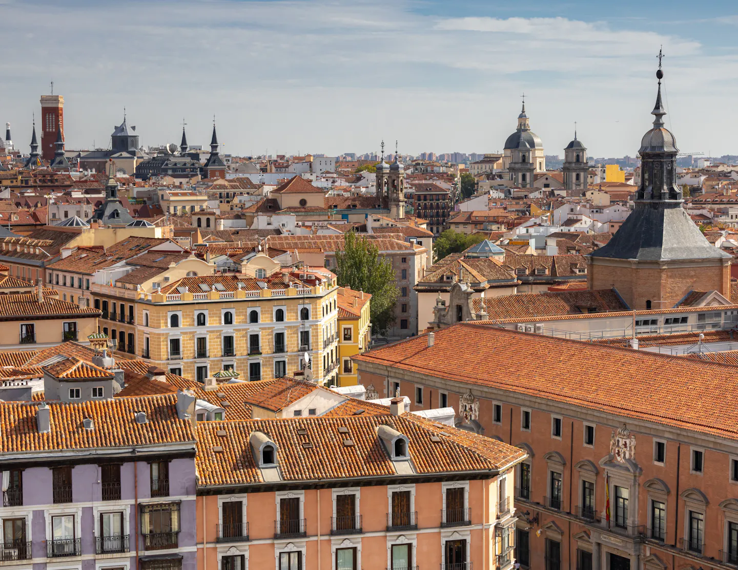 Terracotta rooftops, church domes and slate spires spreading across the historic centre of Madrid