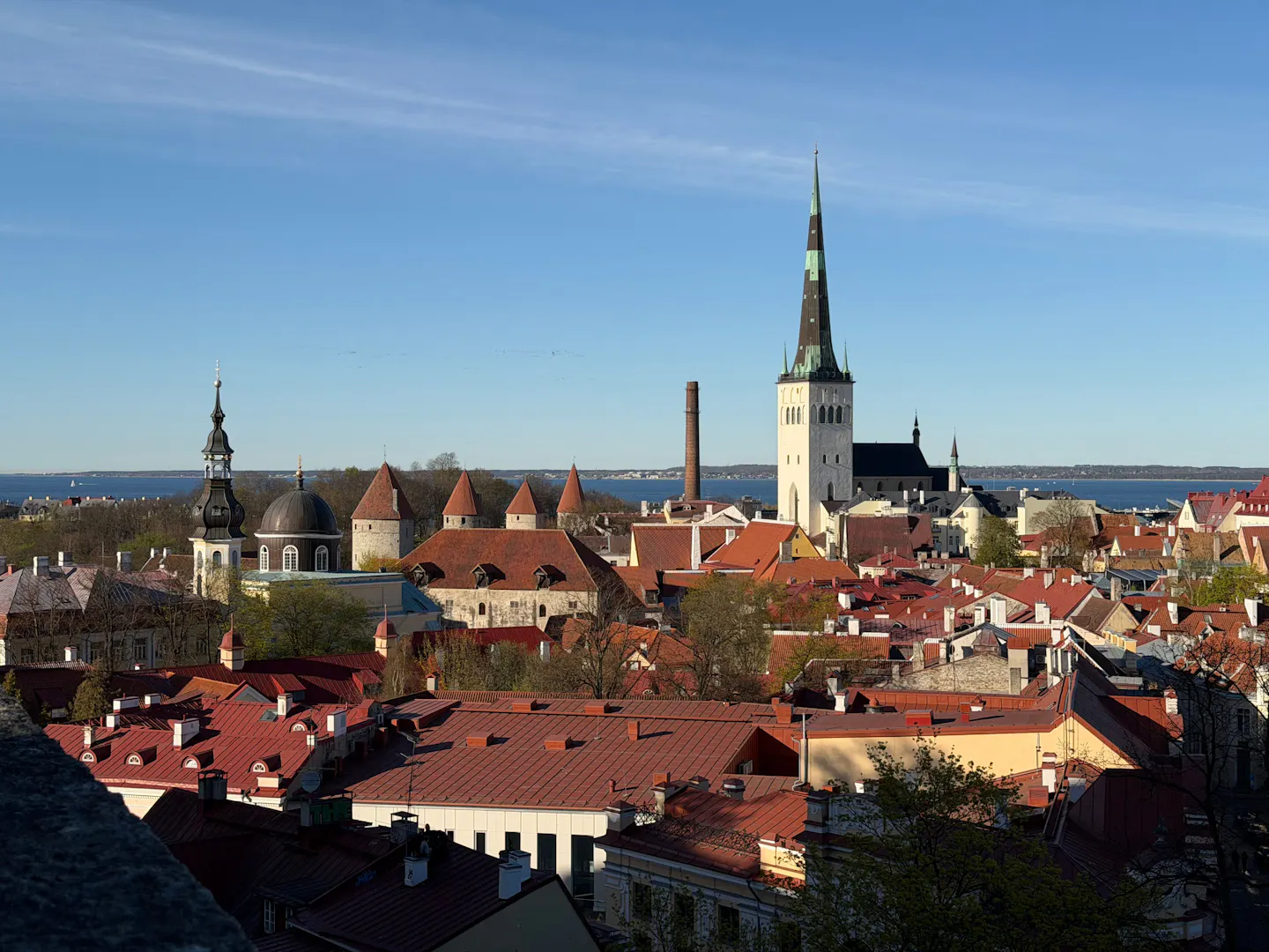 Red-tiled rooftops and the dark spire of St Olaf’s Church in Tallinn’s old town, with the Baltic Sea on the horizon