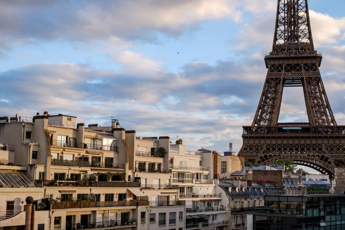 The Eiffel Tower rising above Paris apartment rooftops and terraces in warm evening light