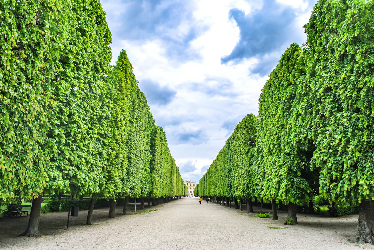 A wide gravel avenue running between tall clipped hedgerows and pleached trees in a Vienna palace garden, leading to a pale baroque facade under dramatic white cloud