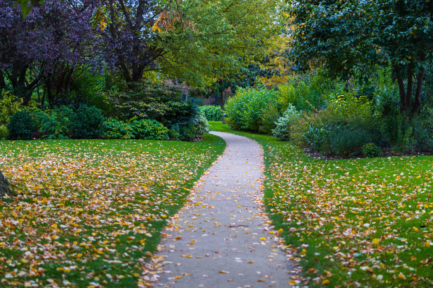 A winding planted walkway through a Paris park with fallen autumn leaves across the grass