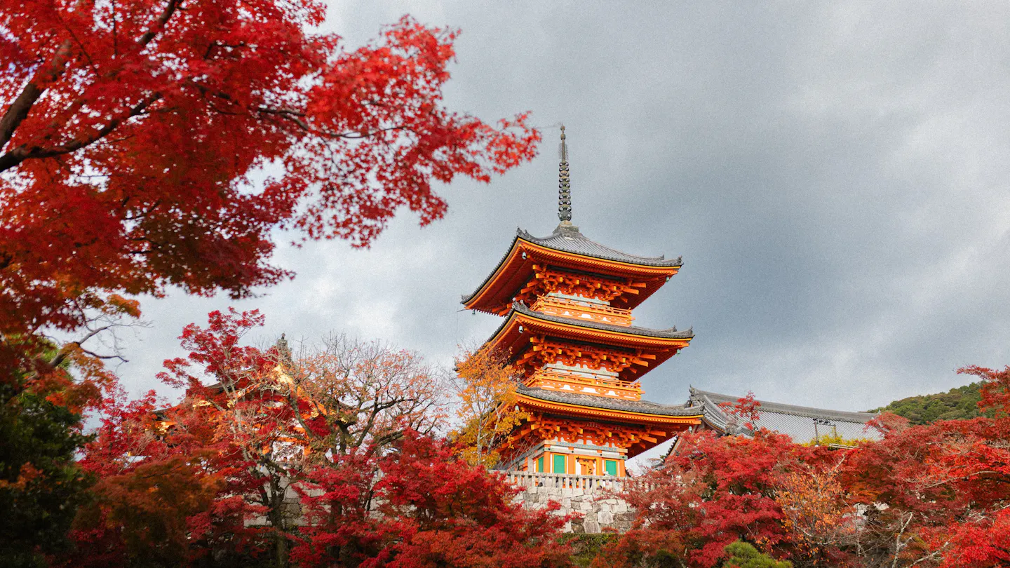 The vermilion pagoda at Kiyomizu-dera in Kyoto surrounded by bright red autumn maples