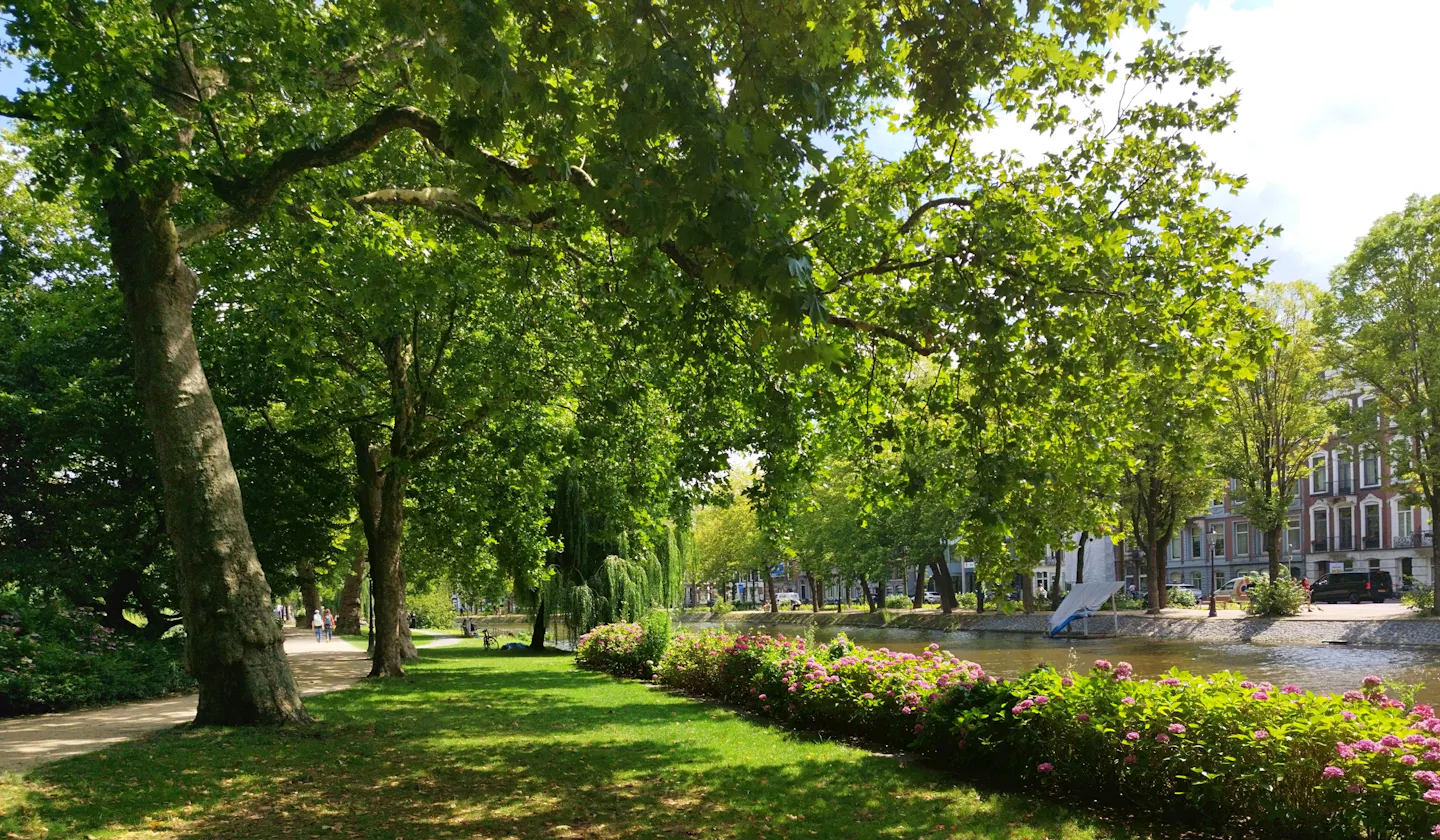 A canal-side Amsterdam park with plane trees, pink hydrangeas and a mown lawn, gabled houses on the far bank