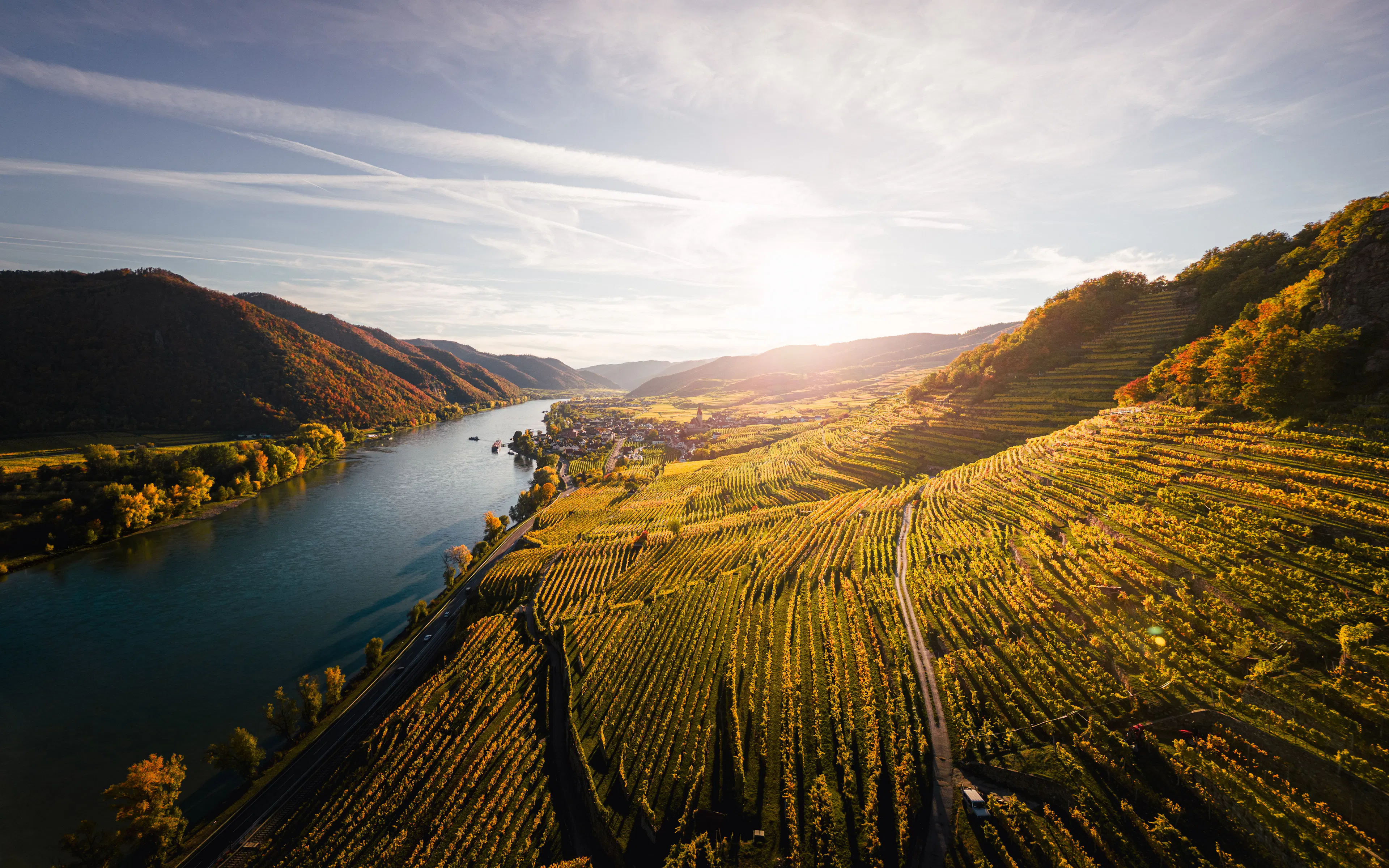 Terraced vineyards turning gold above the Danube in Austria's Wachau valley at sunset
