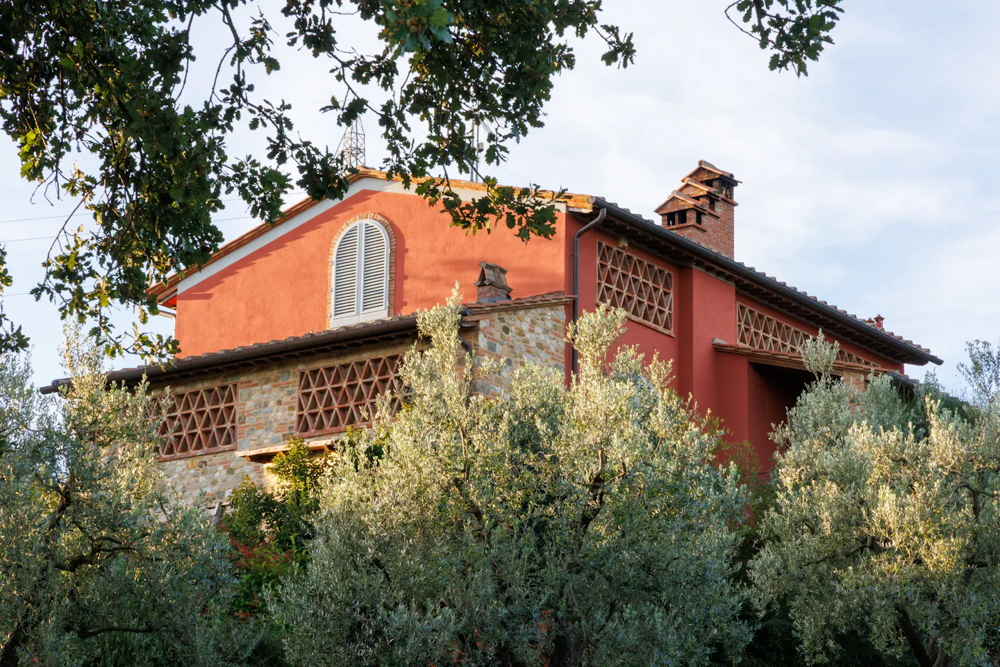 A terracotta stone villa surrounded by silver olive trees in the Italian countryside at golden hour