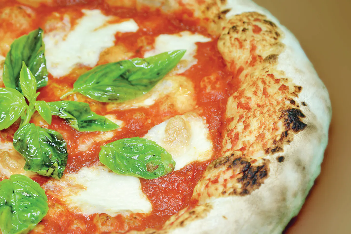 A Neapolitan pizza fresh from the oven with melting mozzarella, basil and a blistered crust