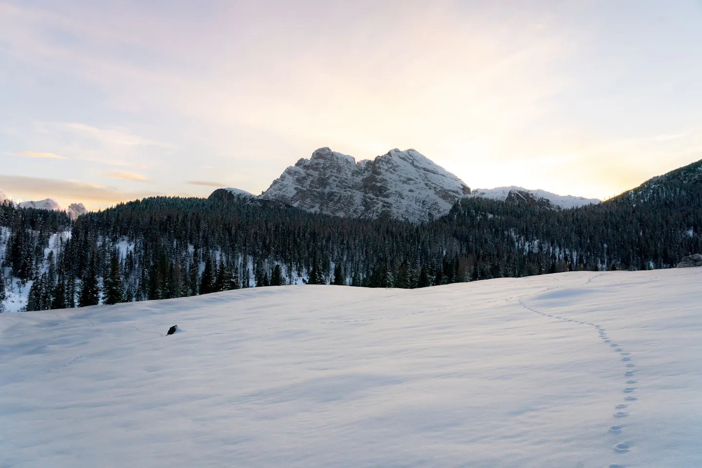 Snowy forest and mountain panorama near Forestis Dolomites in winter