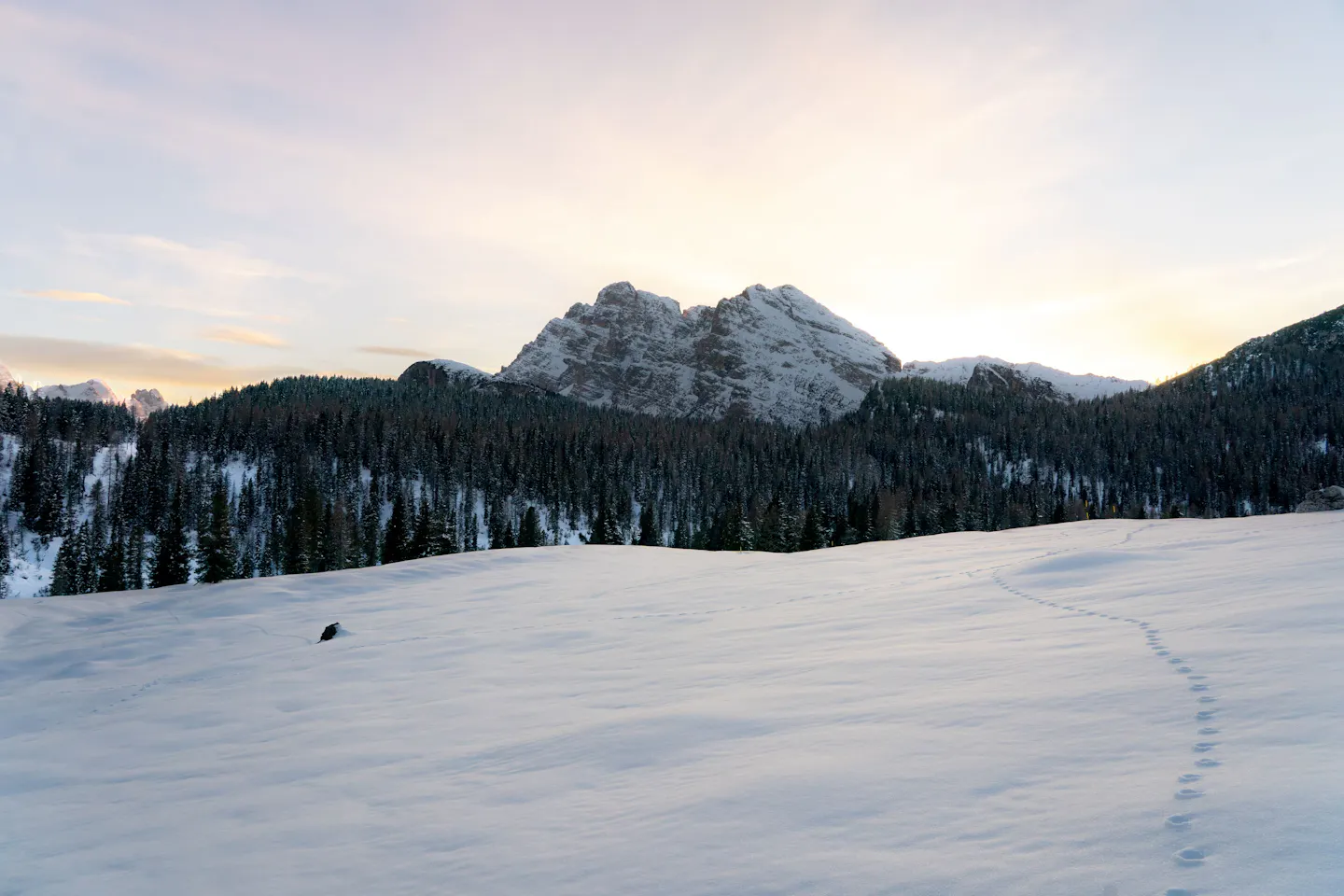 Snowy forest and mountain panorama near Forestis Dolomites in winter