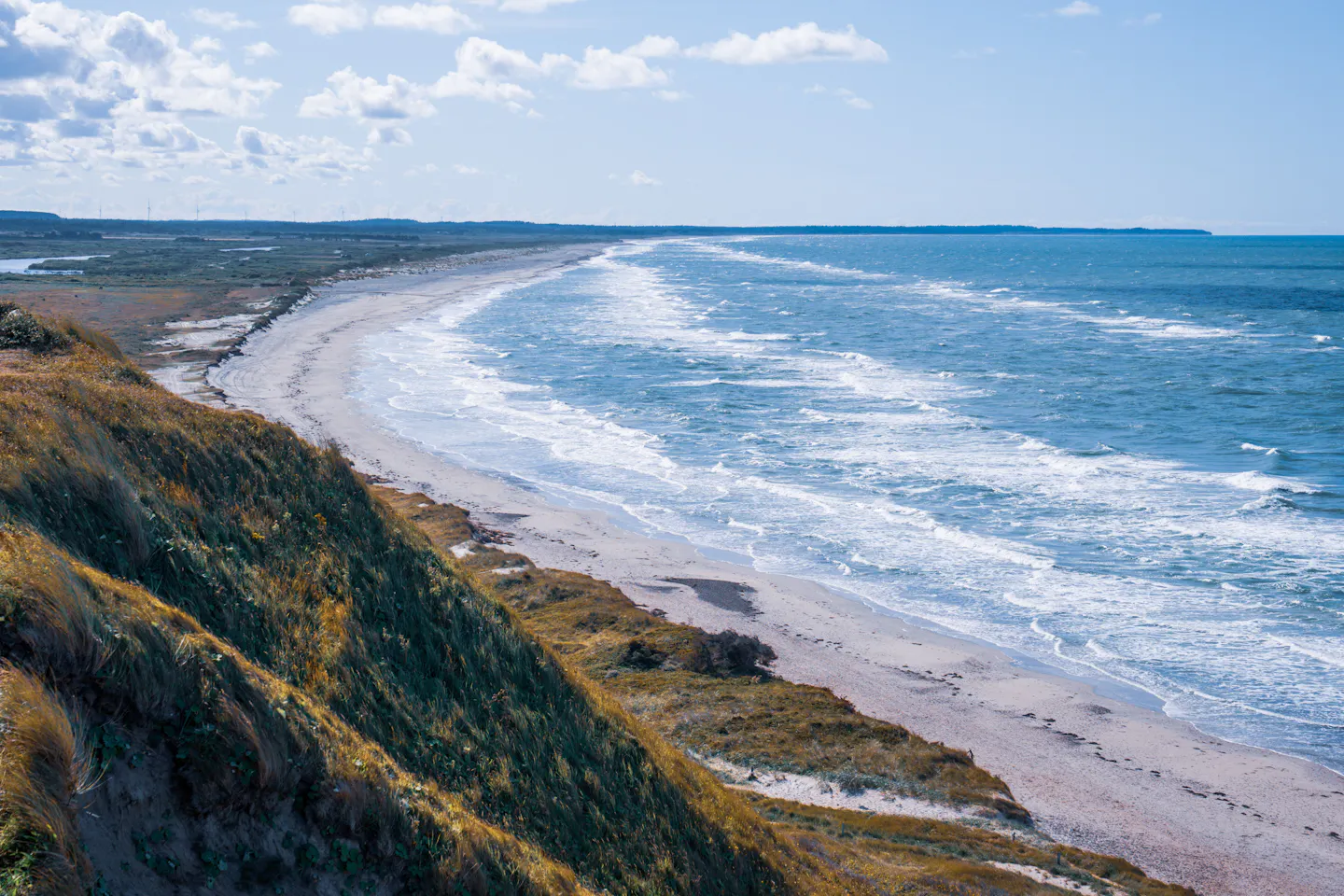 A long curving Danish beach seen from a grassy dune bluff, with white surf rolling into blue-green water