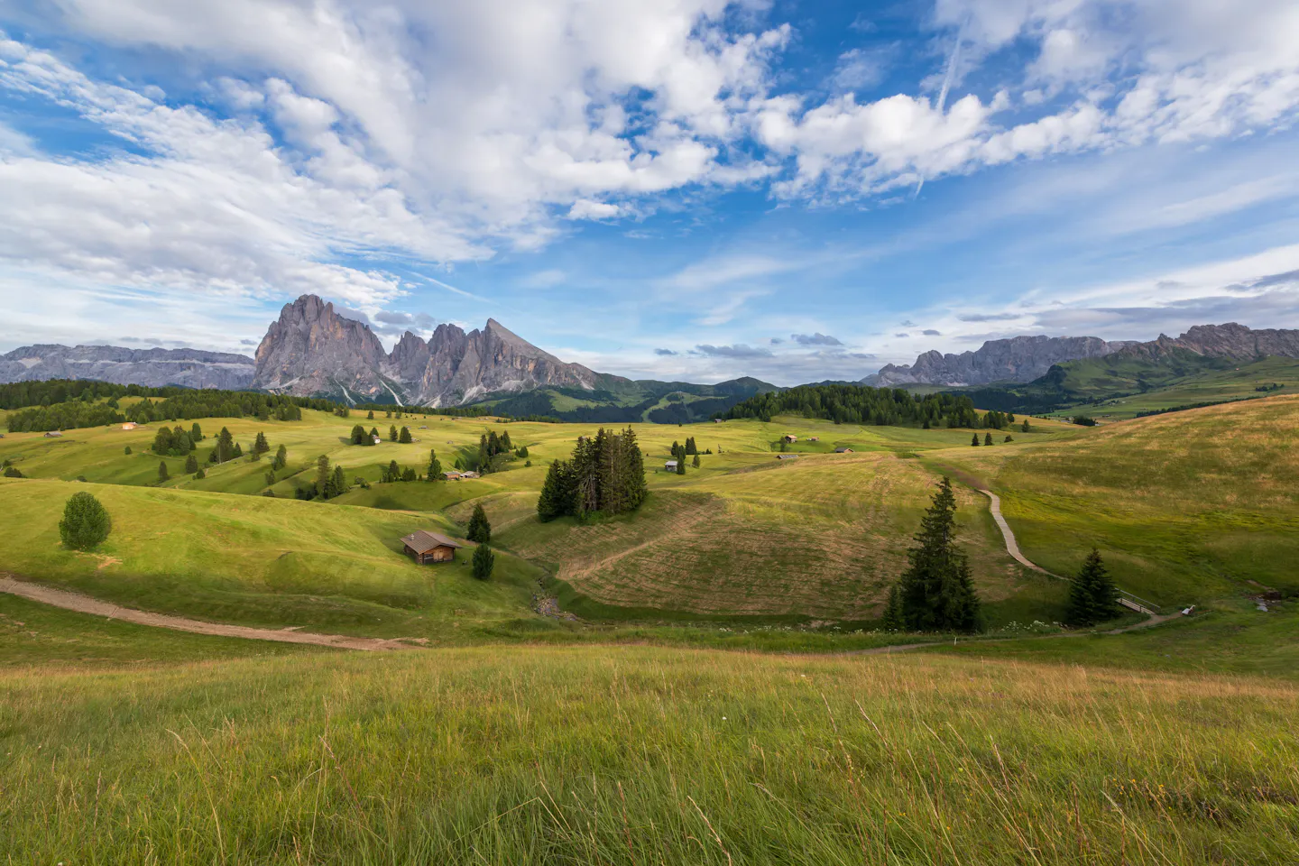 Green meadows of Alpe di Siusi below the Dolomite peaks in summer
