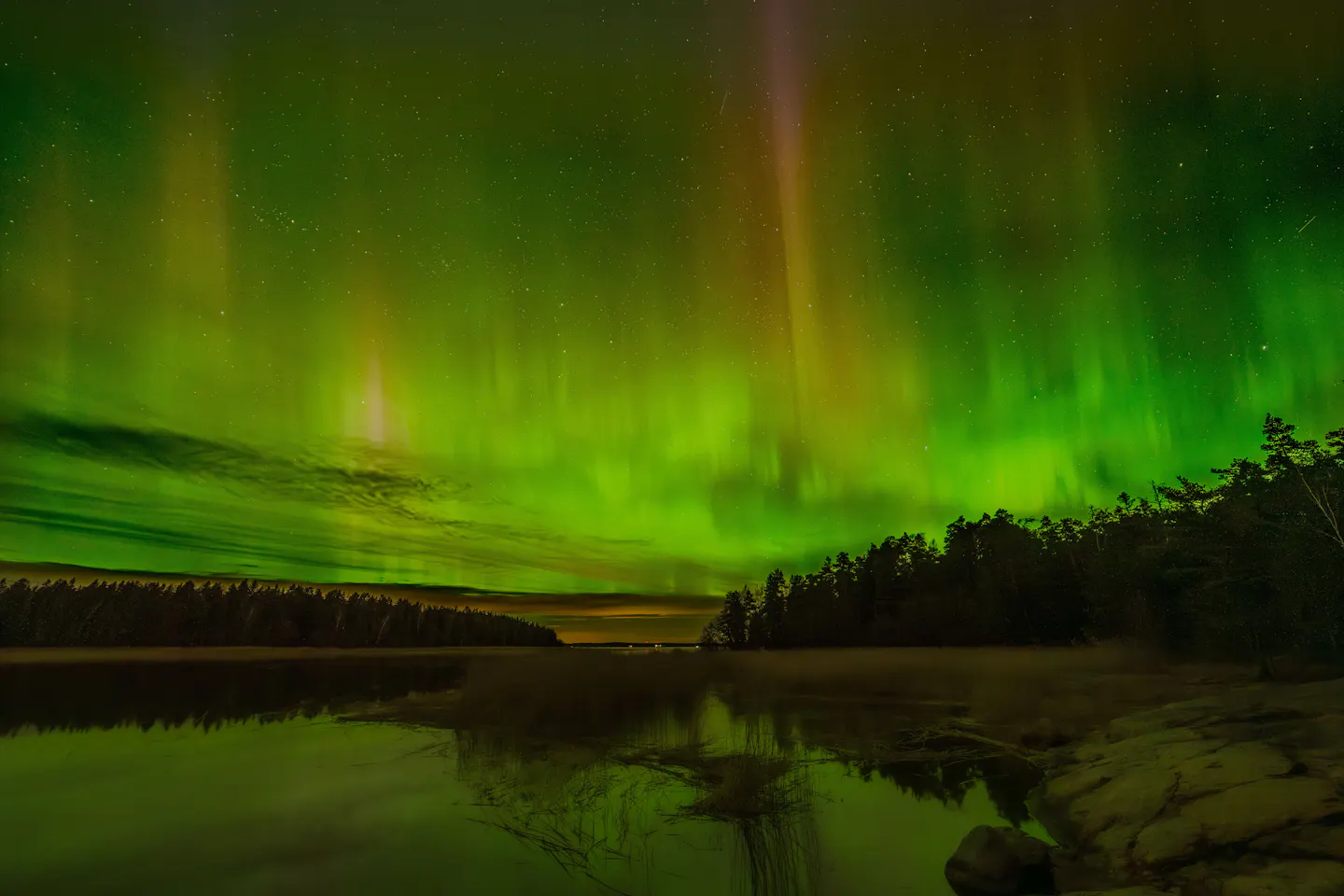 A whole sky of green aurora mirrored in a still forest lake on a clear night