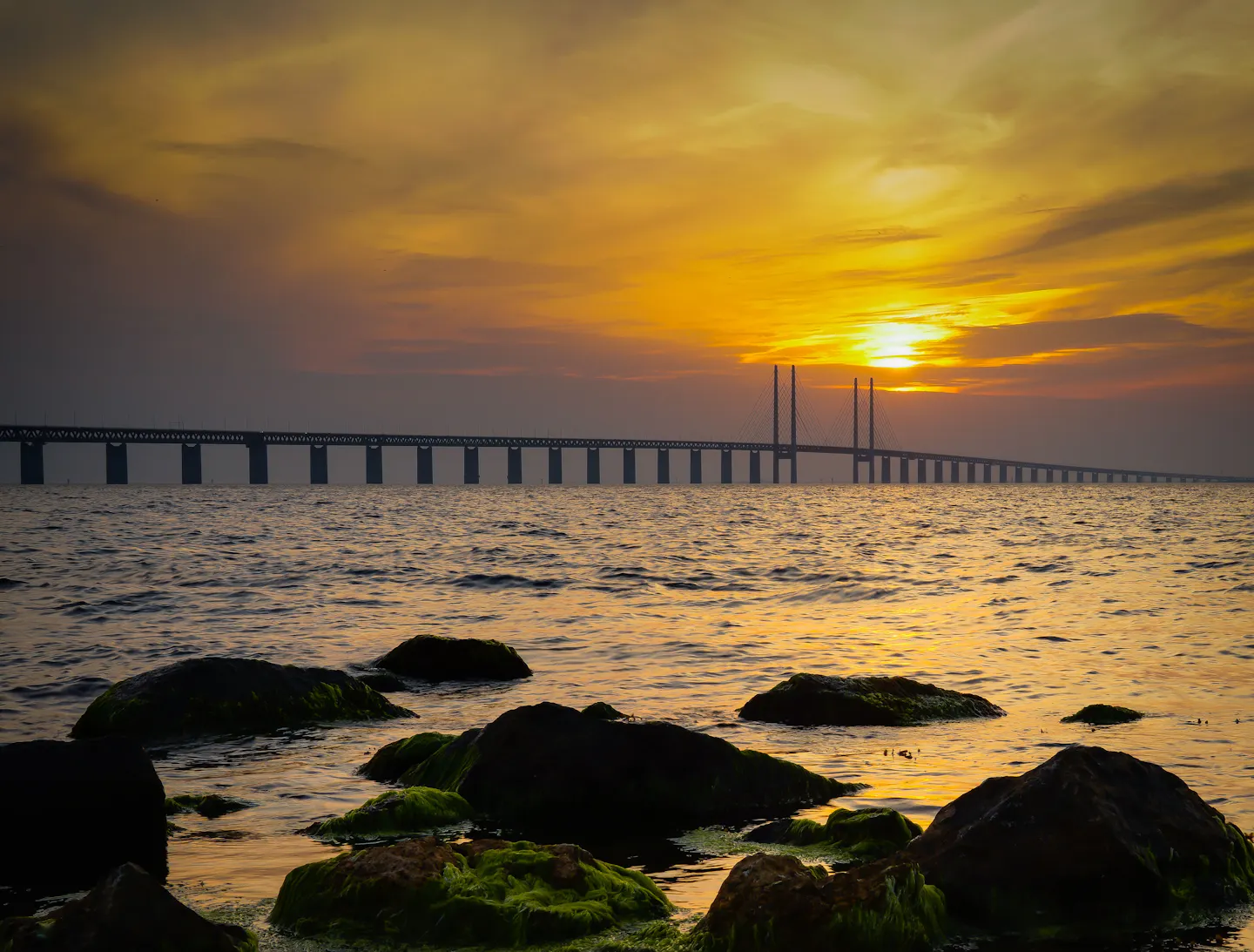 The Øresund Bridge between Denmark and Sweden spanning the sea at sunset, seen from coastal rocks