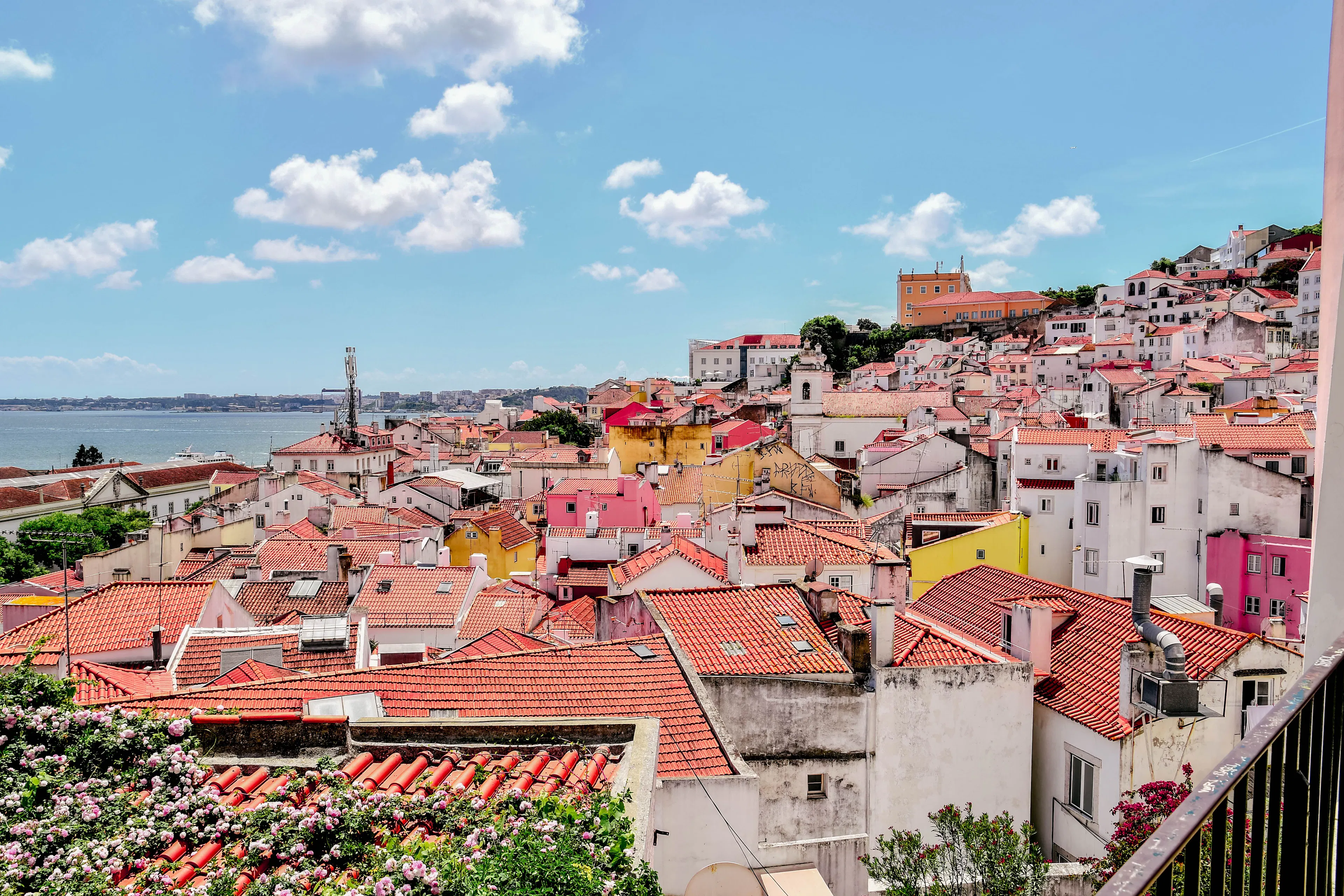 Coral, pink and white houses under terracotta roofs stepping down an Alfama hillside toward the Tagus, with a flowering shrub in the foreground and a blue sky of small clouds above