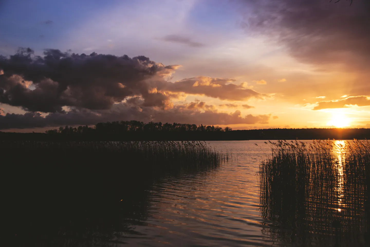 Sunset over a quiet Brandenburg lake, the last light catching the water between tall reeds and a dark treeline