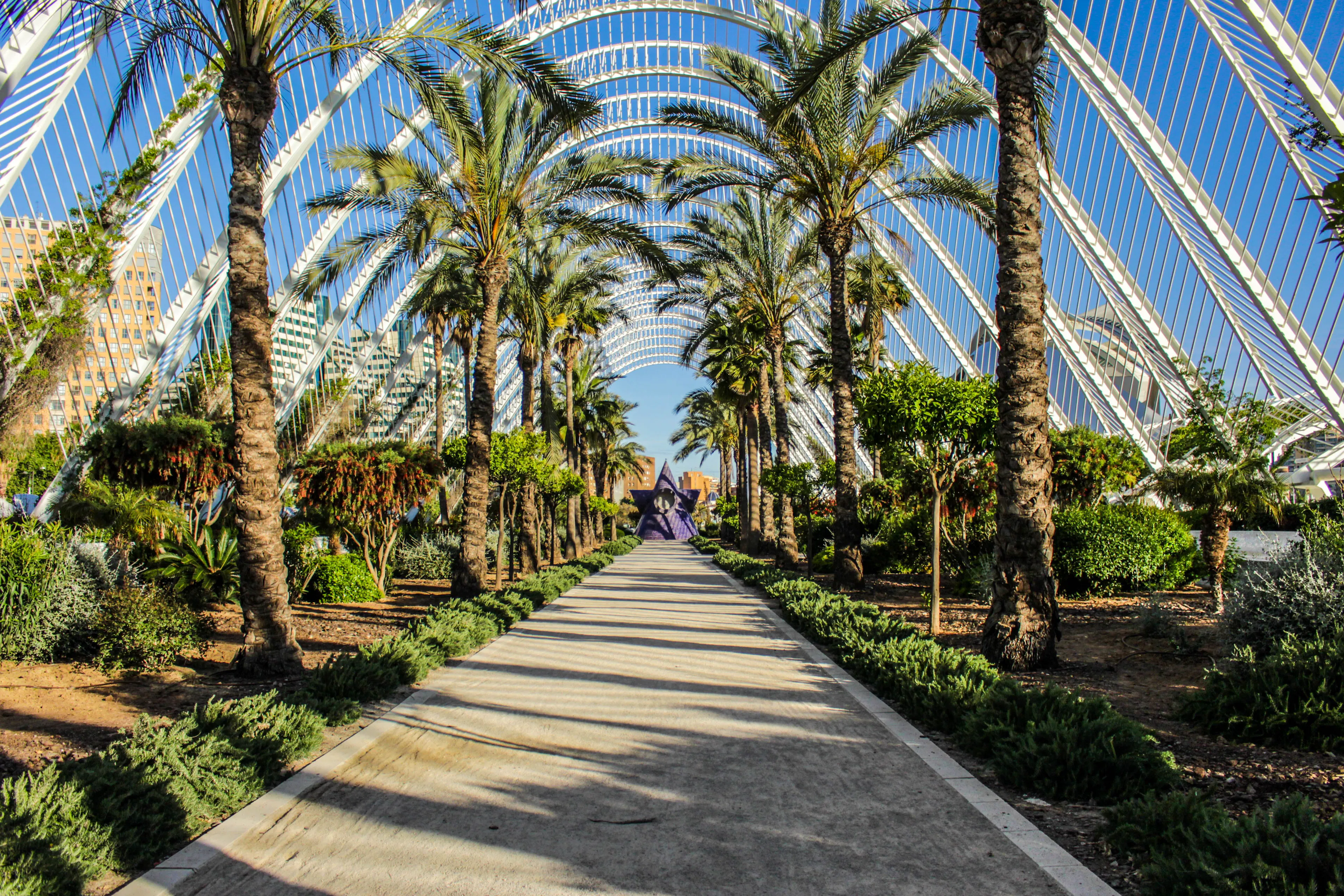 A palm-lined walkway beneath the white arches of the Umbracle in Valencia's Turia Gardens