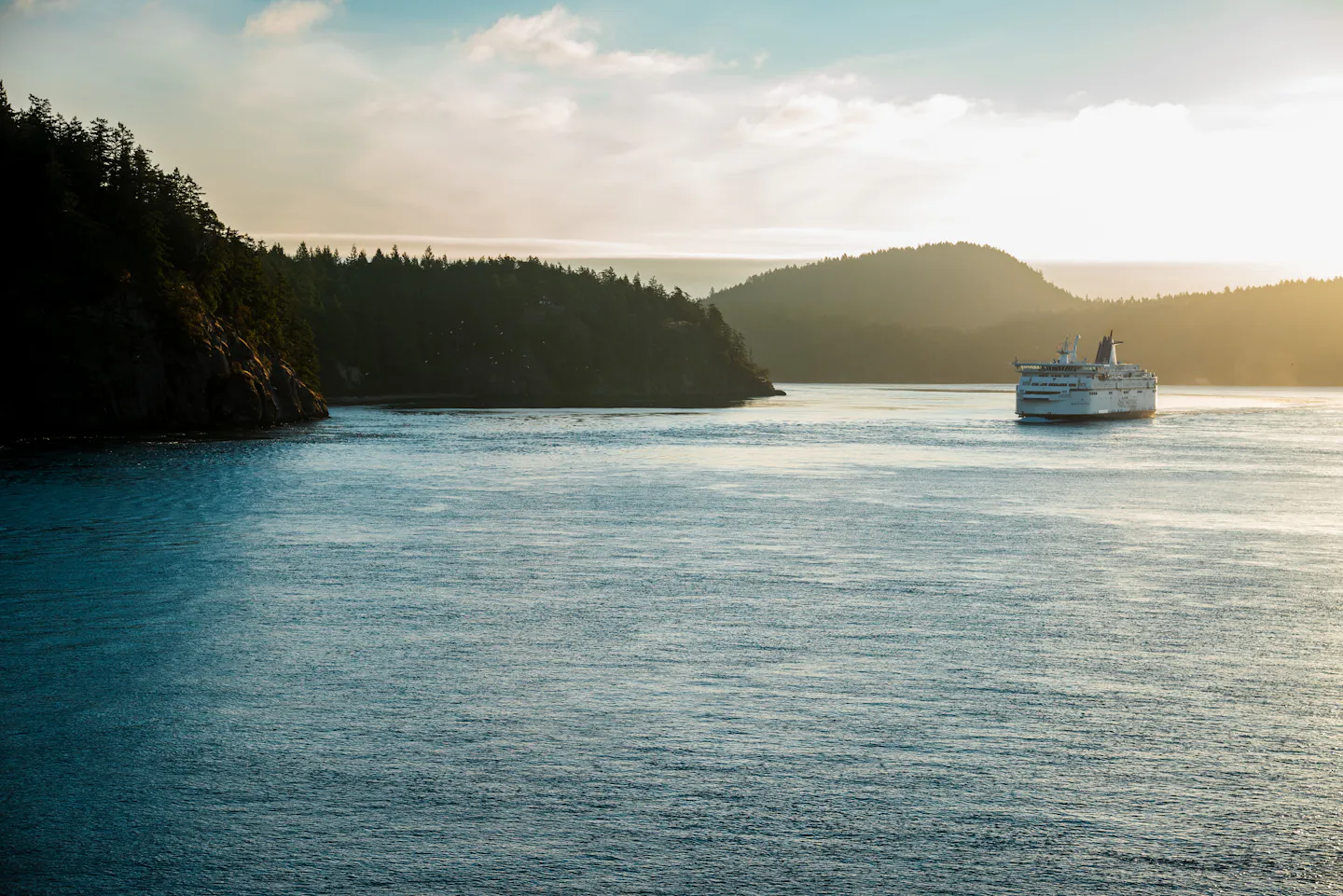 A passenger ferry sailing through a forested coastal waterway in warm evening light