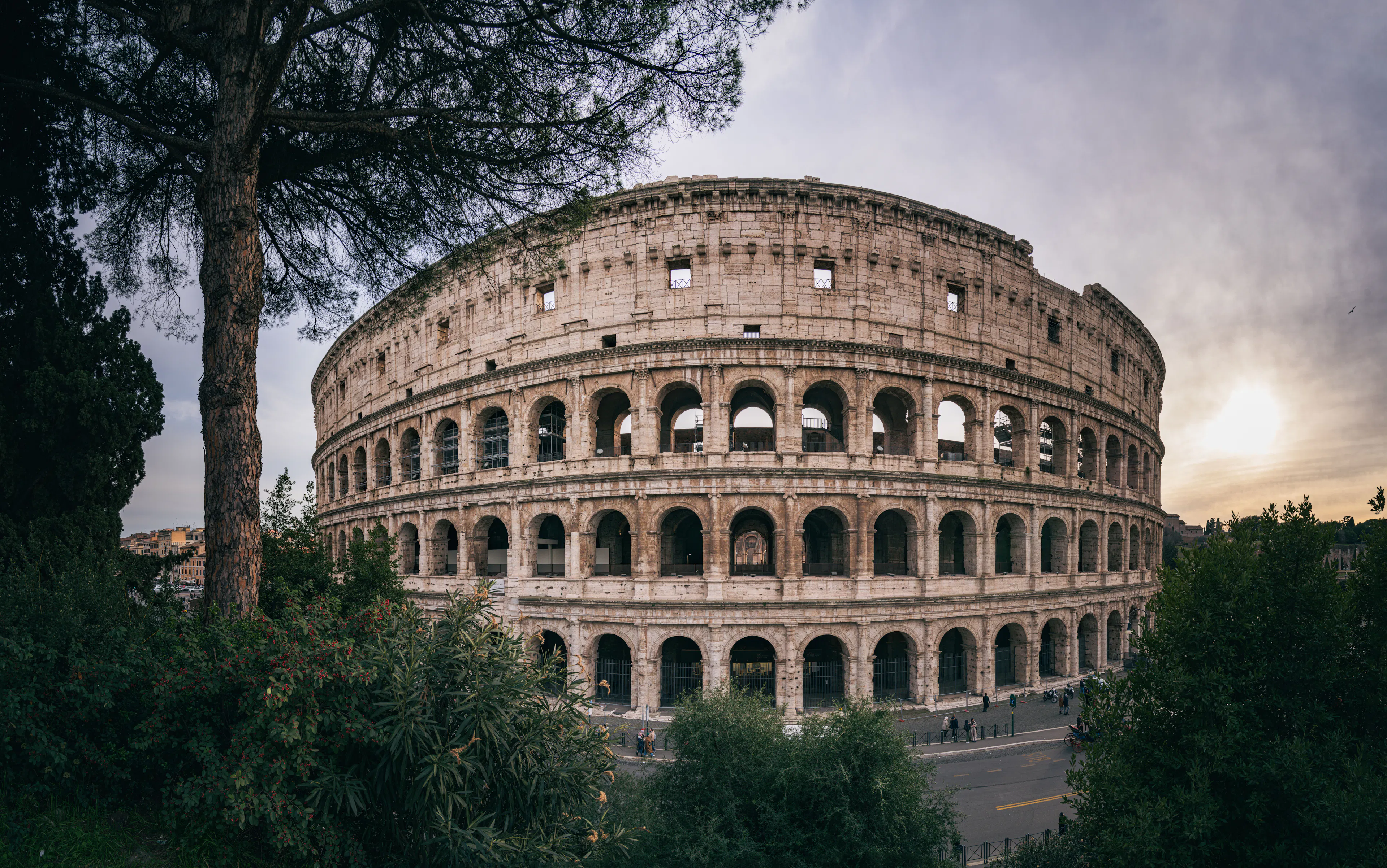 The Colosseum in Rome framed by a tall umbrella pine and green shrubs, under a soft sunset sky