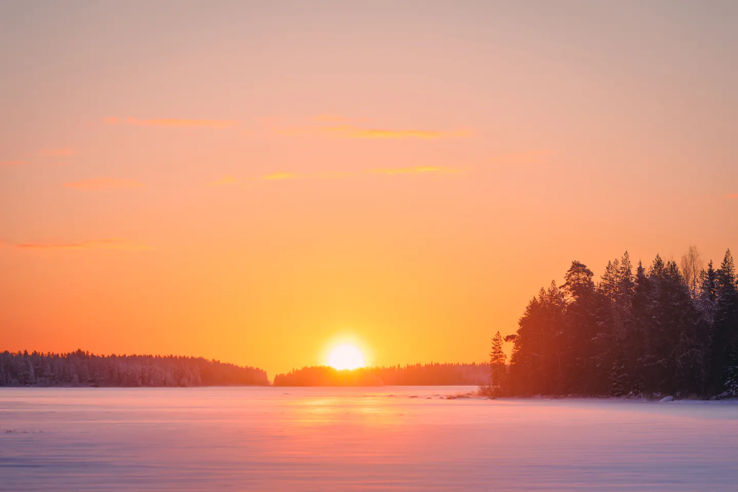 Winter sunset over a frozen lake and snowy spruce forest in Finland